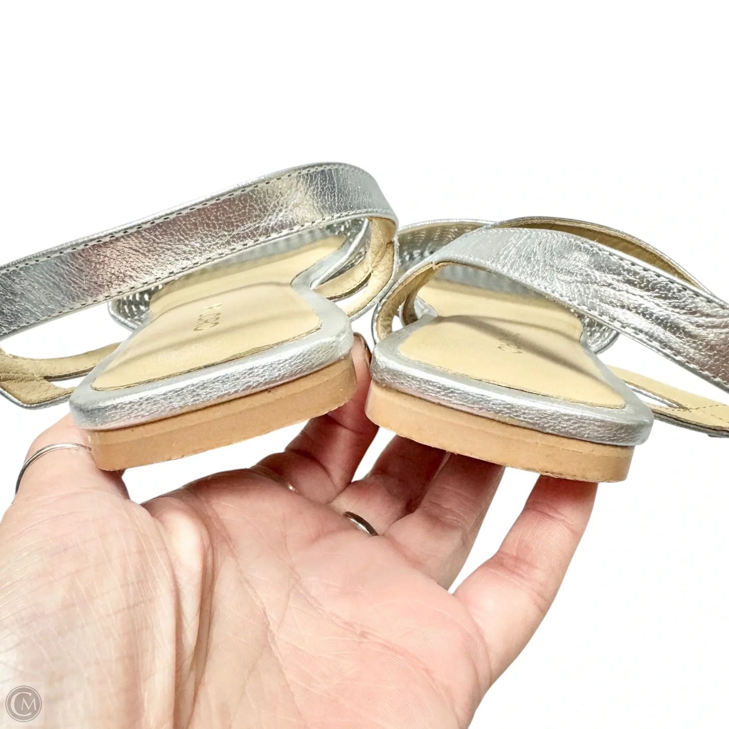 Shoes Flats By Pilcro In Snakeskin Print, Size: 8