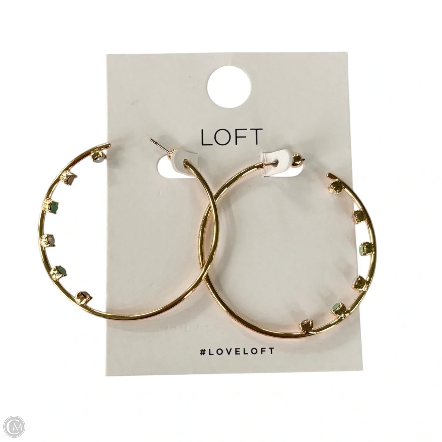 Earrings Hoop By Loft