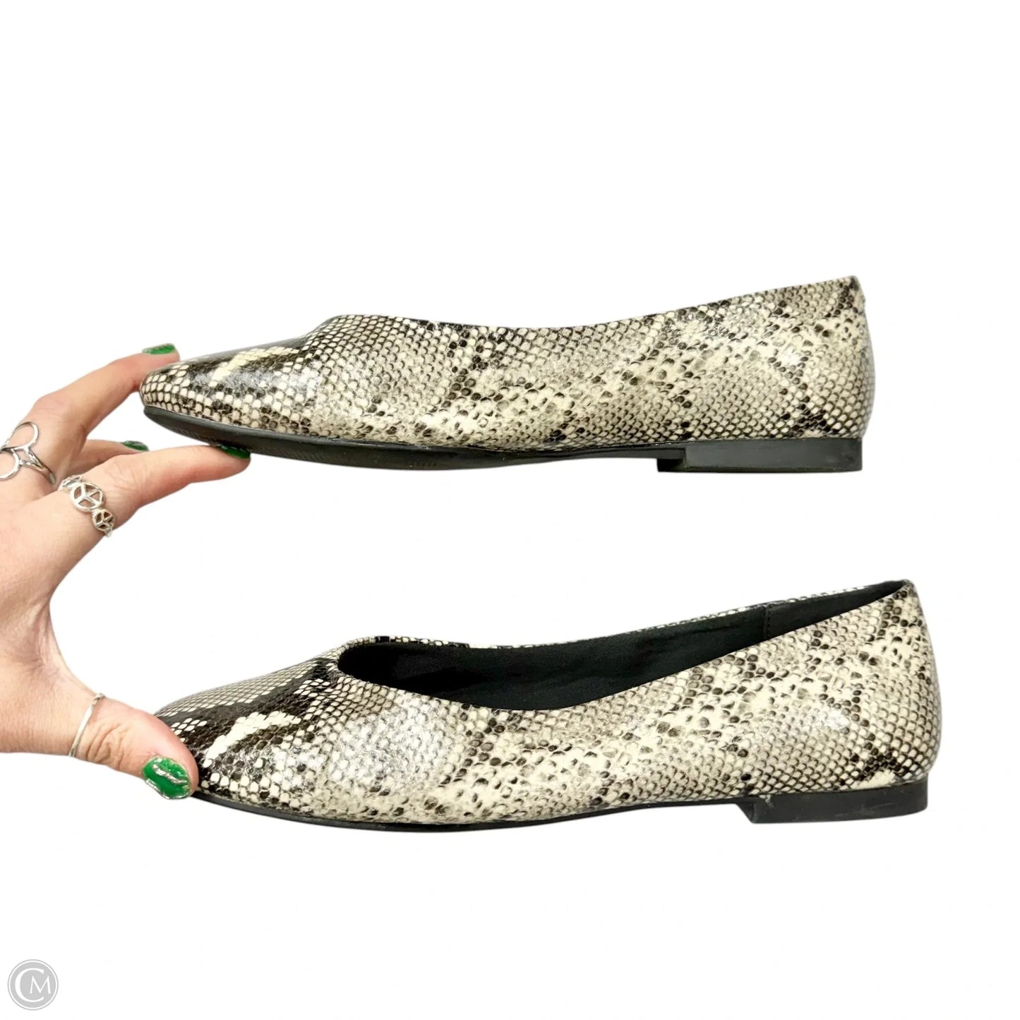 Shoes Flats By Steve Madden In Snakeskin Print, Size: 9
