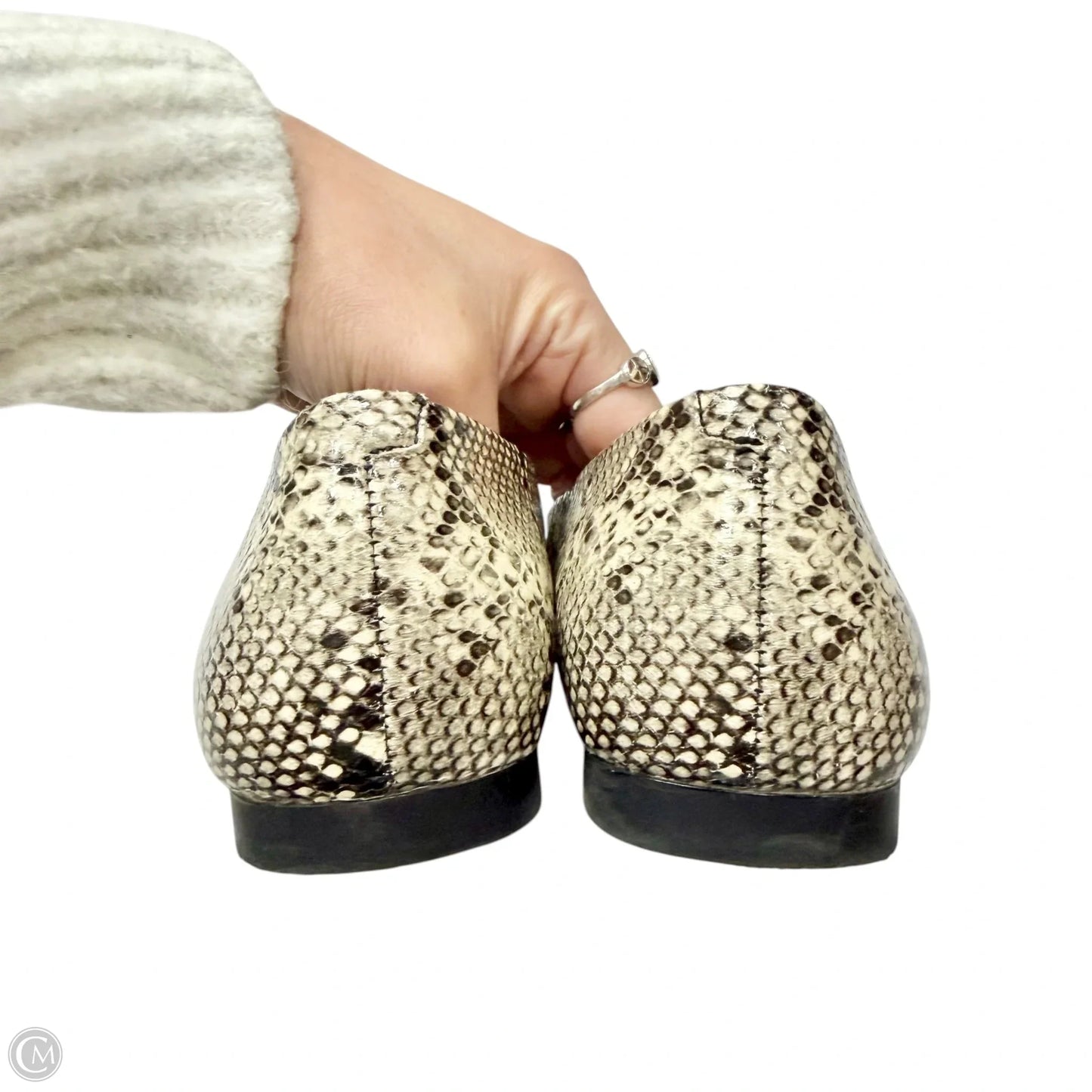 Shoes Flats By Steve Madden In Snakeskin Print, Size: 9