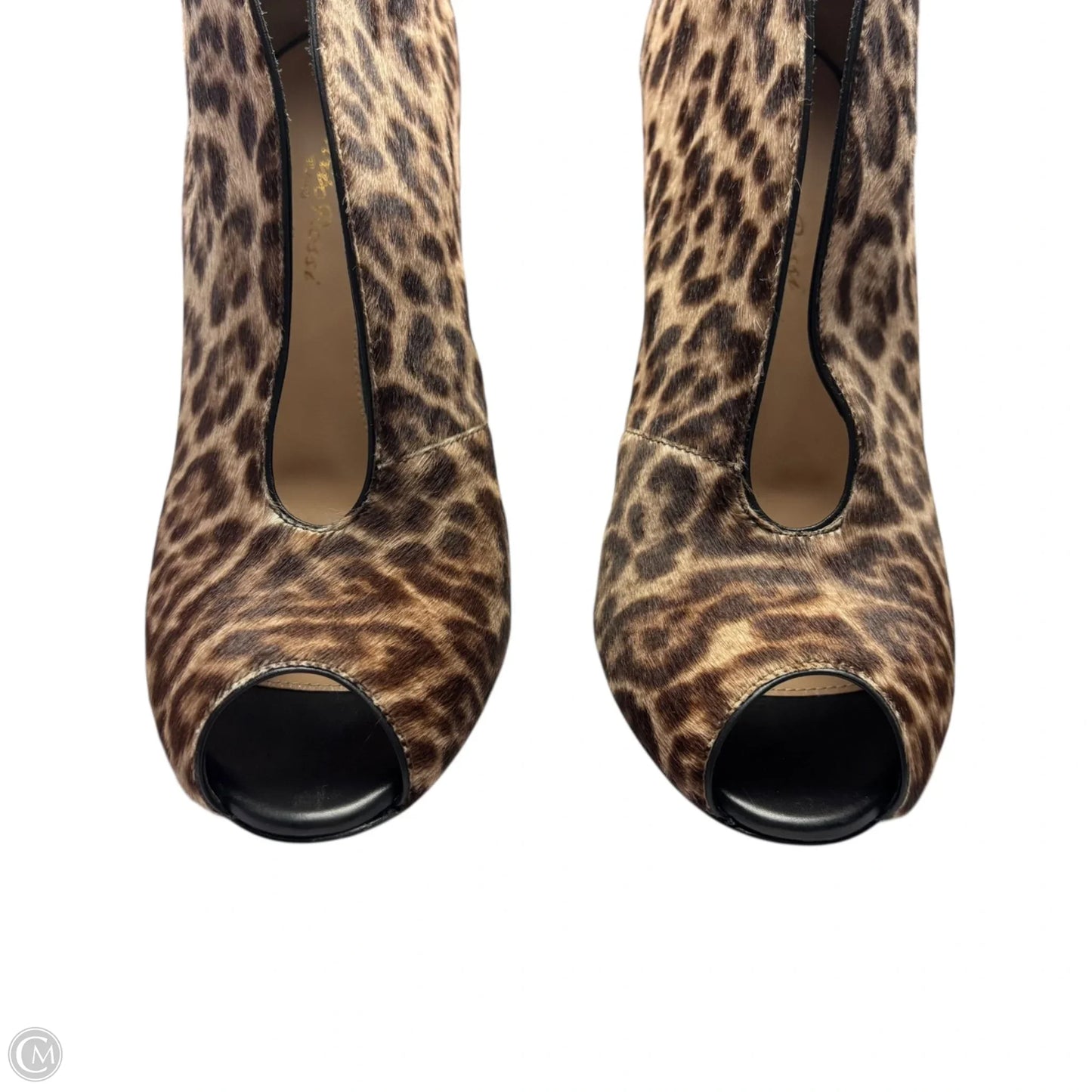 Sandals Heels Stiletto By Gianvito Rossi In Leopard Print, Size: 8