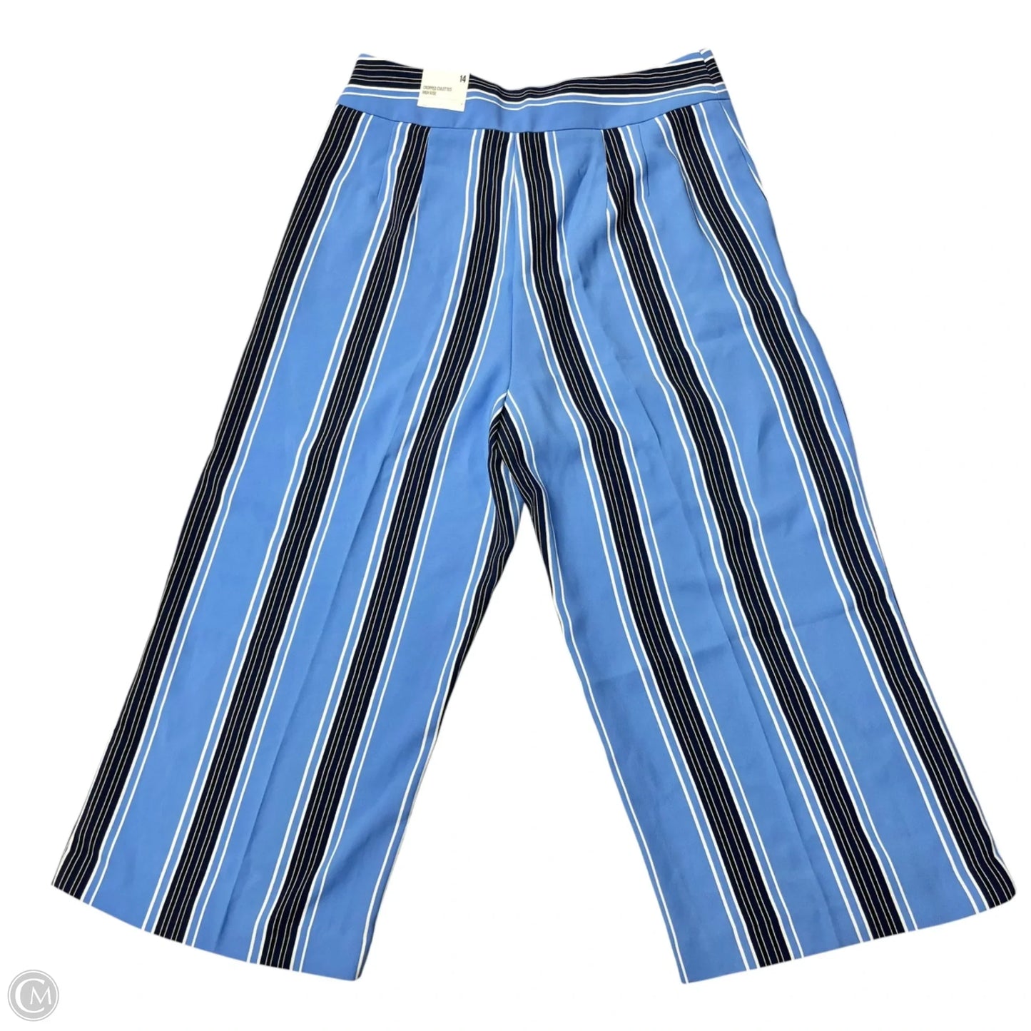 Pants Cropped By Express In Striped Pattern, Size: 14