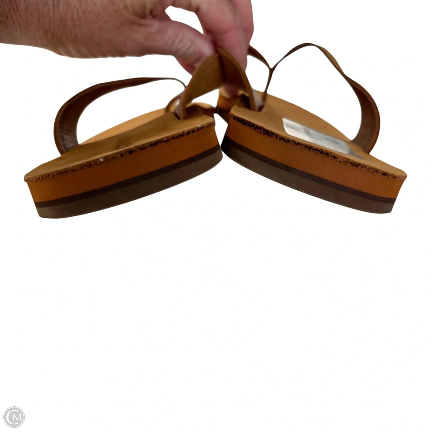 Sandals Flip Flops By Bombas In Brown, Size: 8