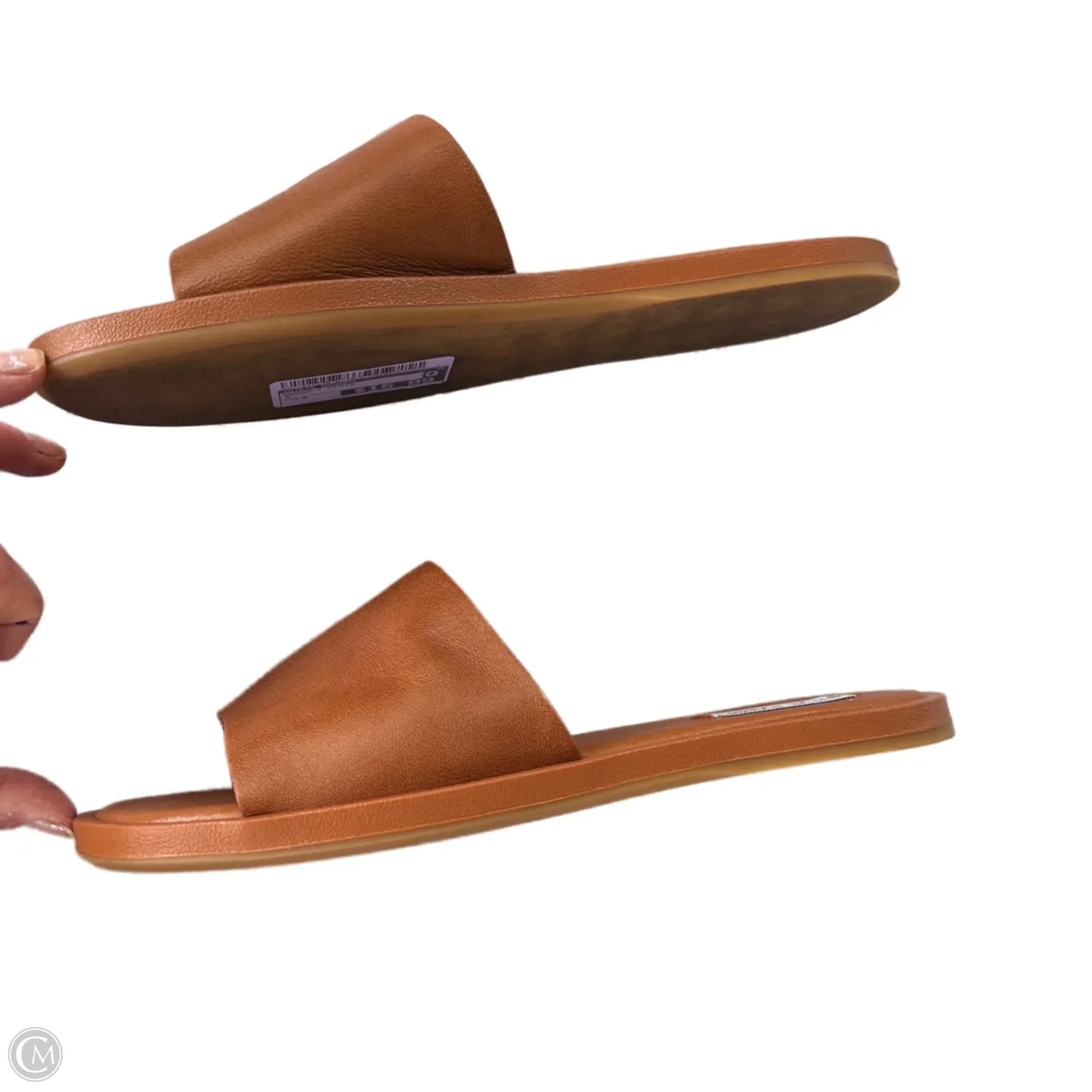 Sandals Flats By Steve Madden In Brown, Size: 9