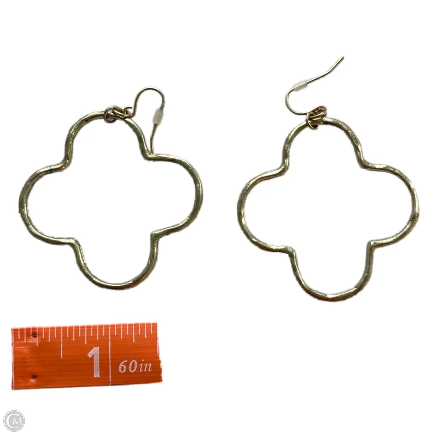 Earrings Dangle/drop