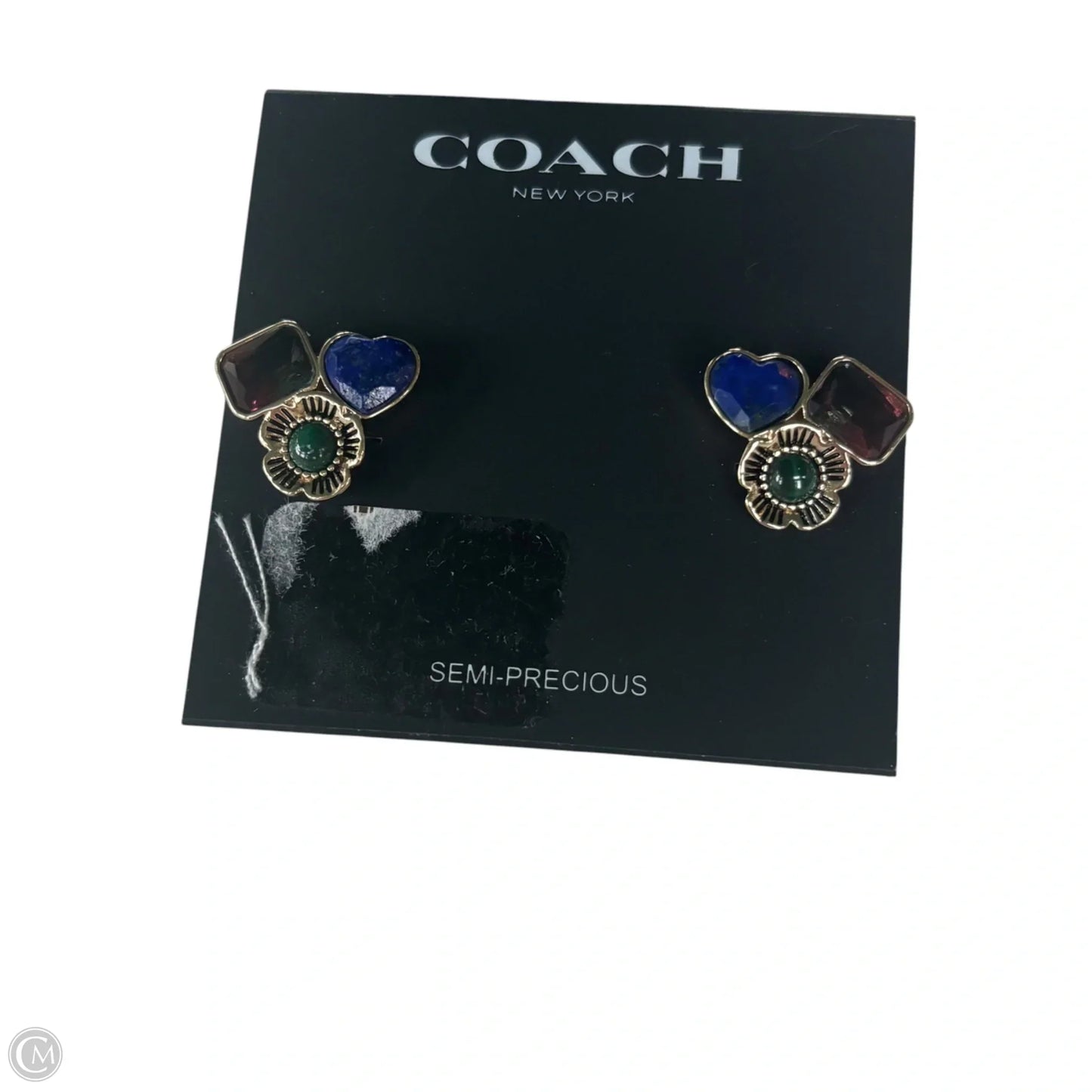 Earrings Designer By Coach