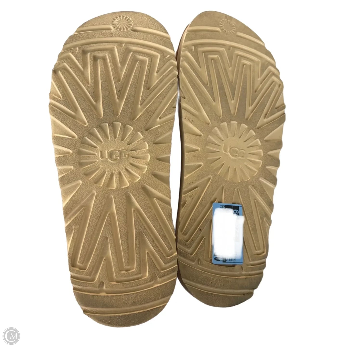 Shoes Designer By Ugg In Brown & Red, Size: 11