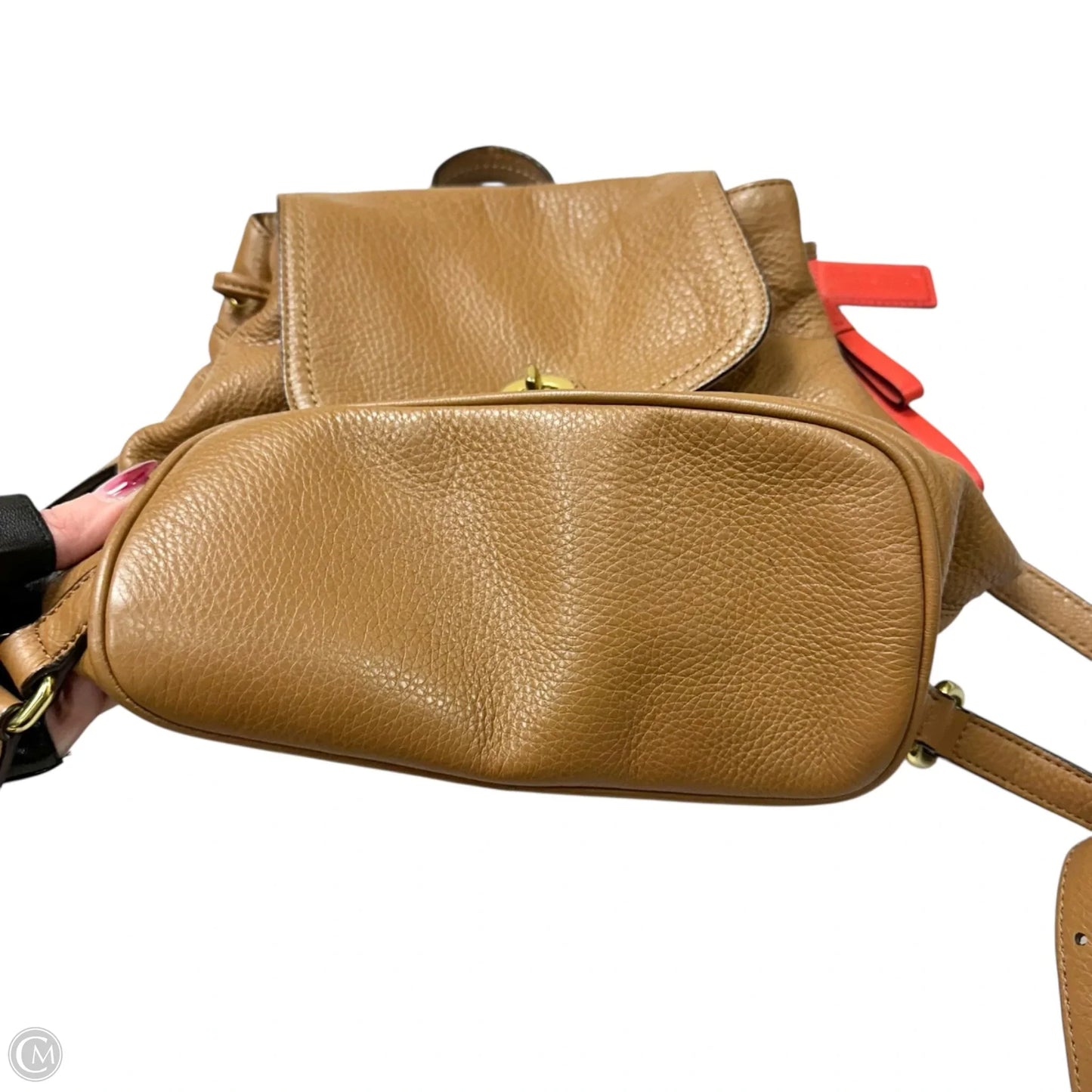 Backpack Designer By Coach, Size: Medium