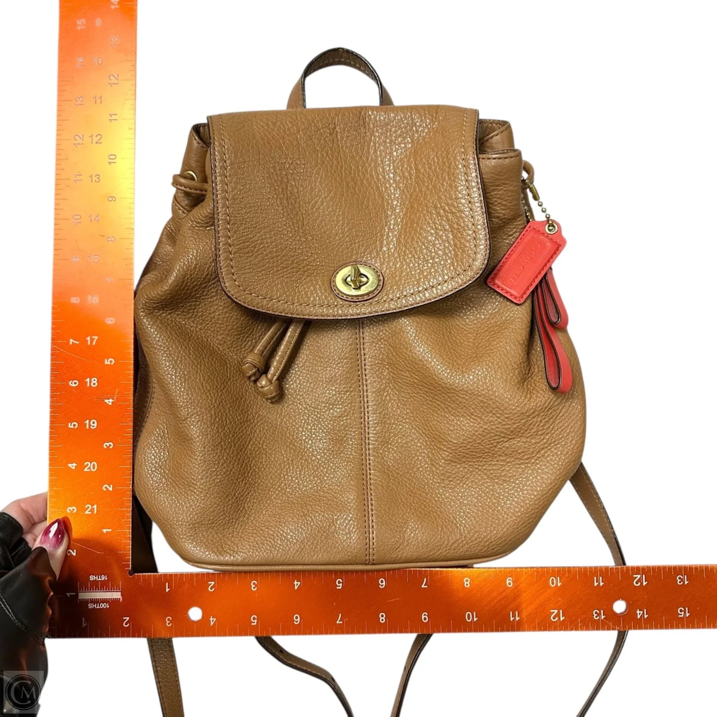 Backpack Designer By Coach, Size: Medium