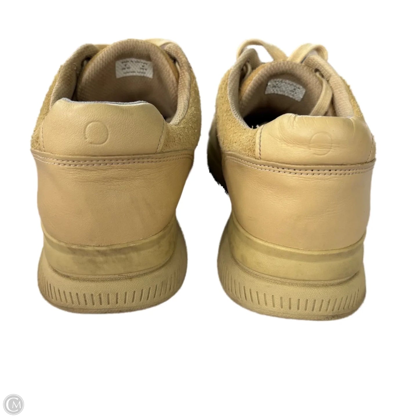 Shoes Sneakers By Everlane In Tan, Size: 10