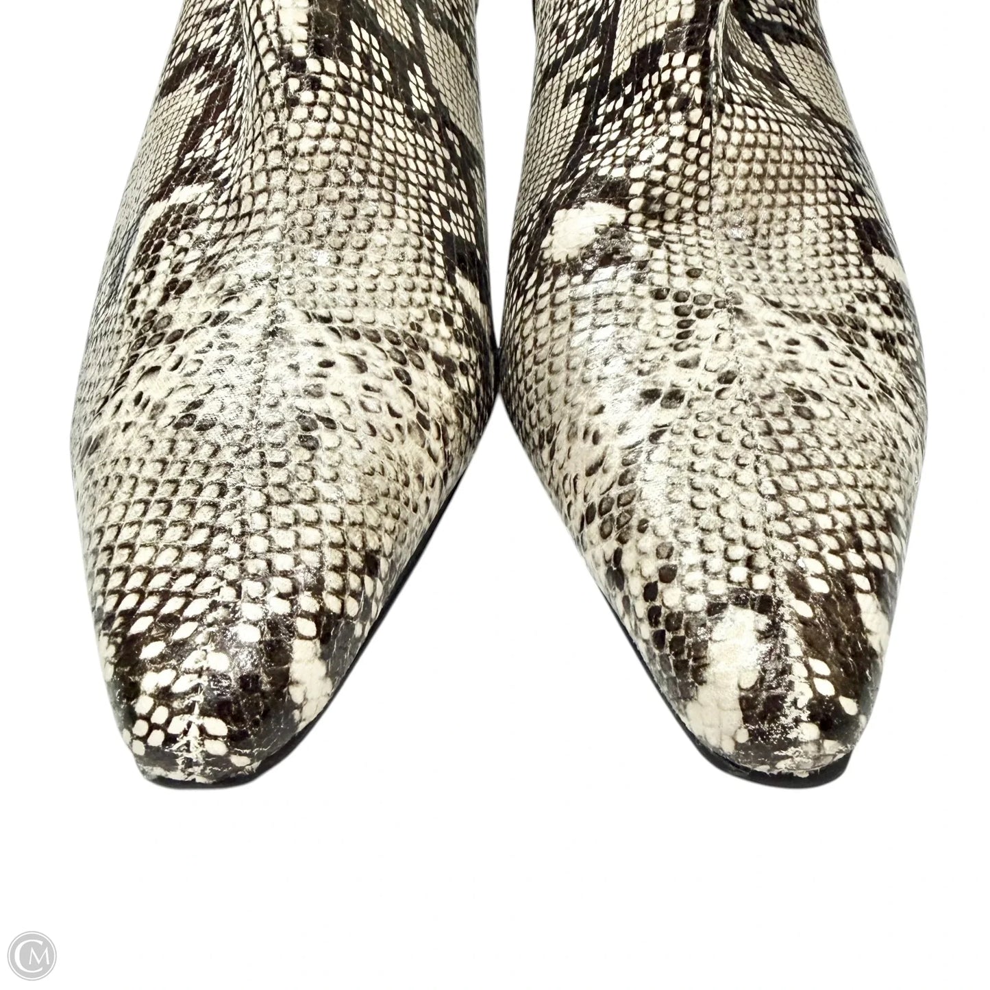 Boots Ankle Heels By Steve Madden In Snakeskin Print, Size: 9