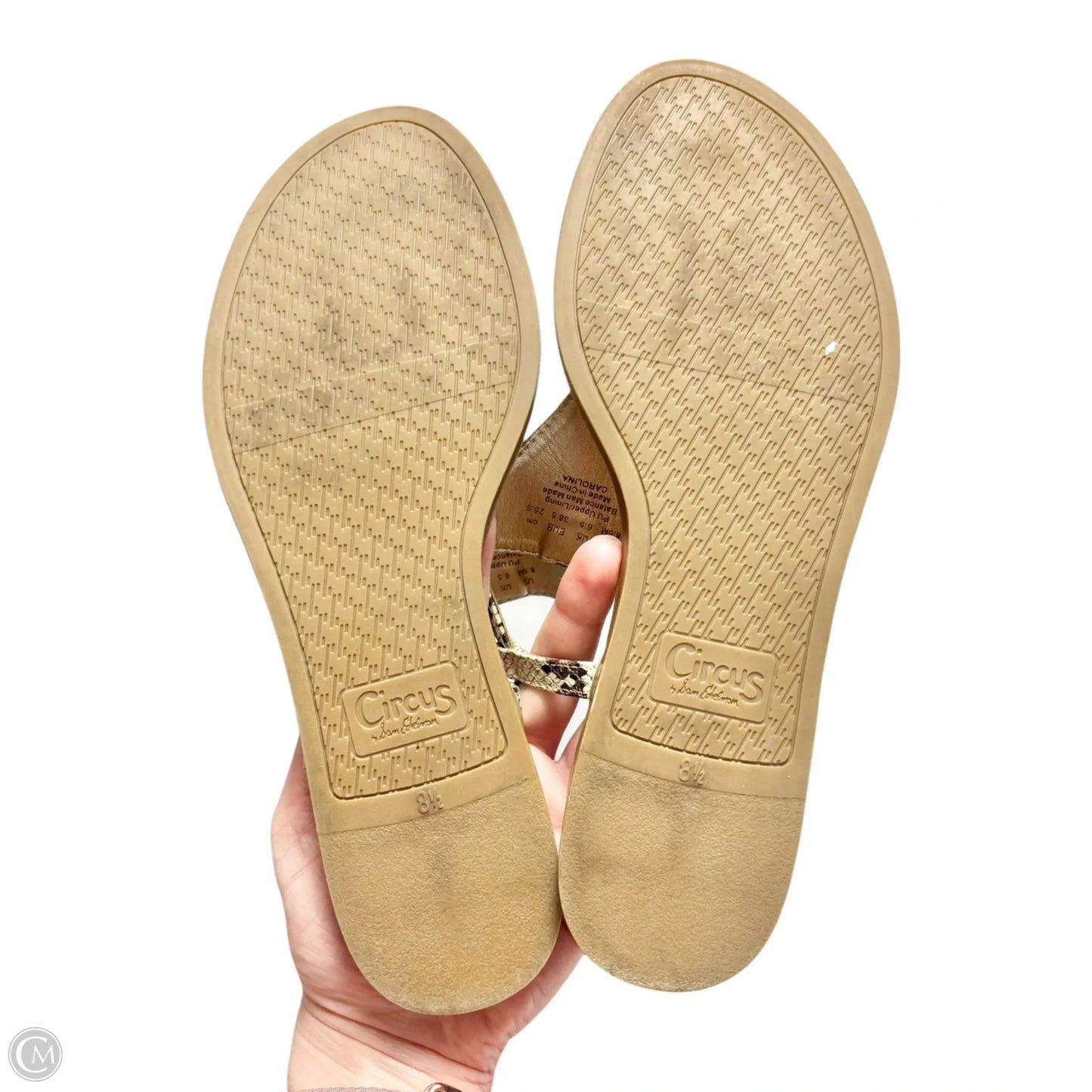 Sandals Flats By Sam Edelman In Snakeskin Print, Size: 8.5