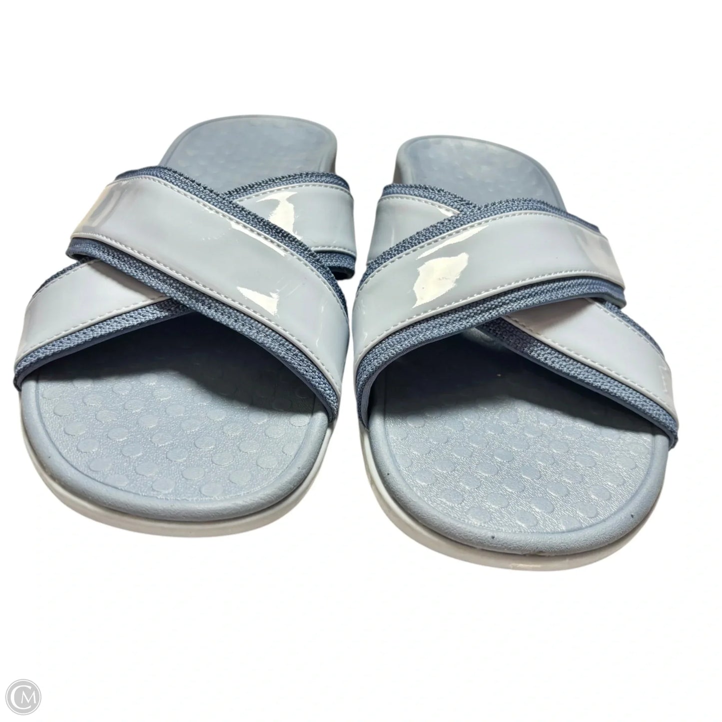 Sandals Flip Flops By Vionic In Blue, Size: 9