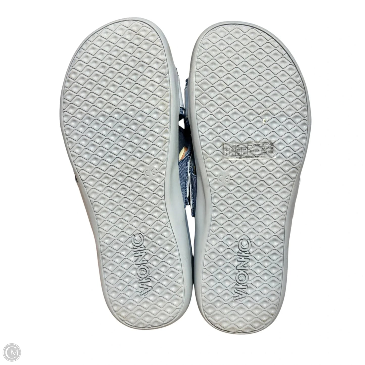 Sandals Flip Flops By Vionic In Blue, Size: 9