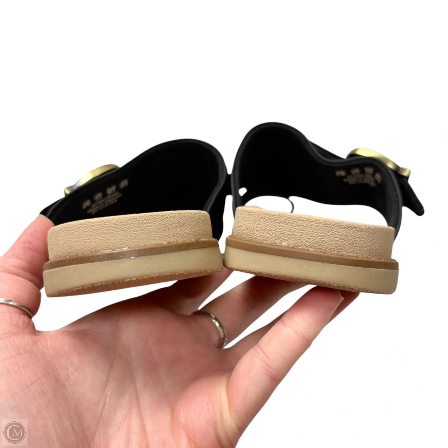 Sandals Flats By Dr Scholls In Black, Size: 8