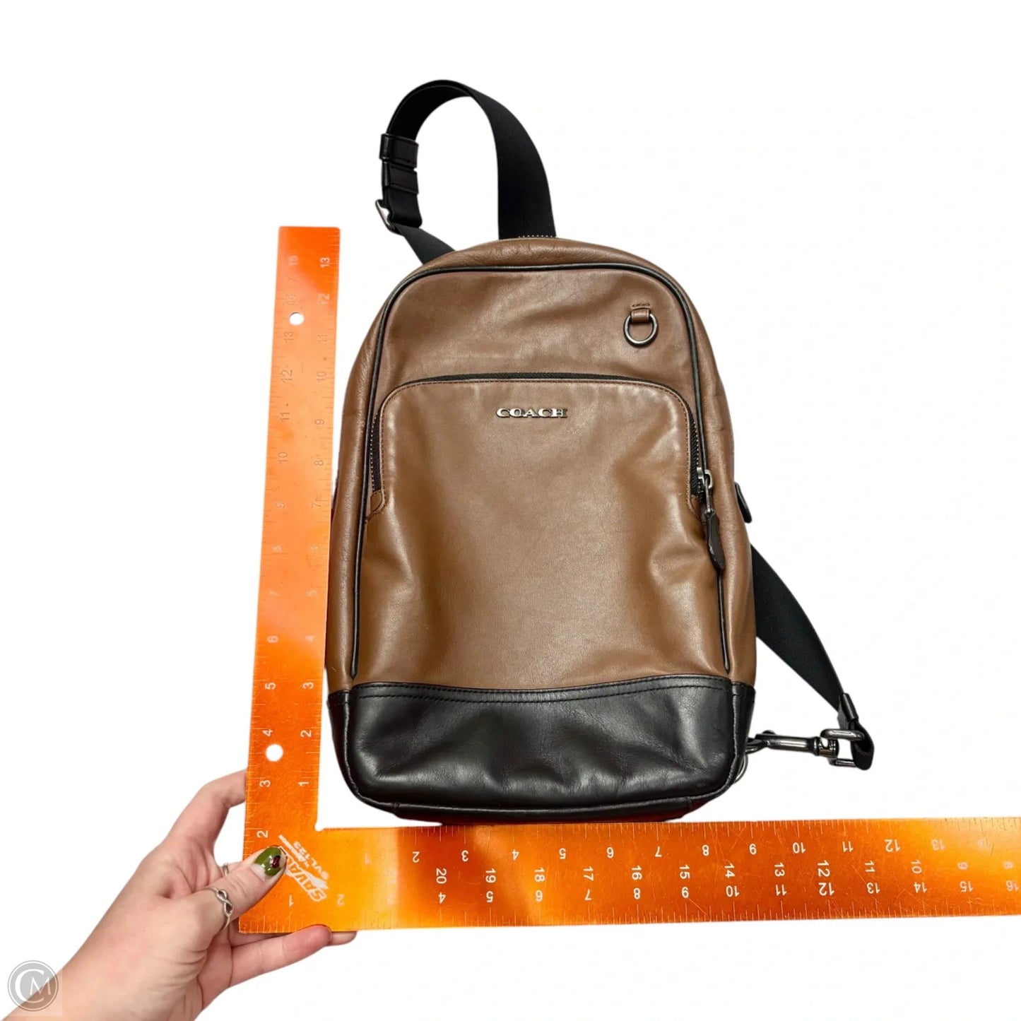 Backpack Designer By Coach, Size: Medium