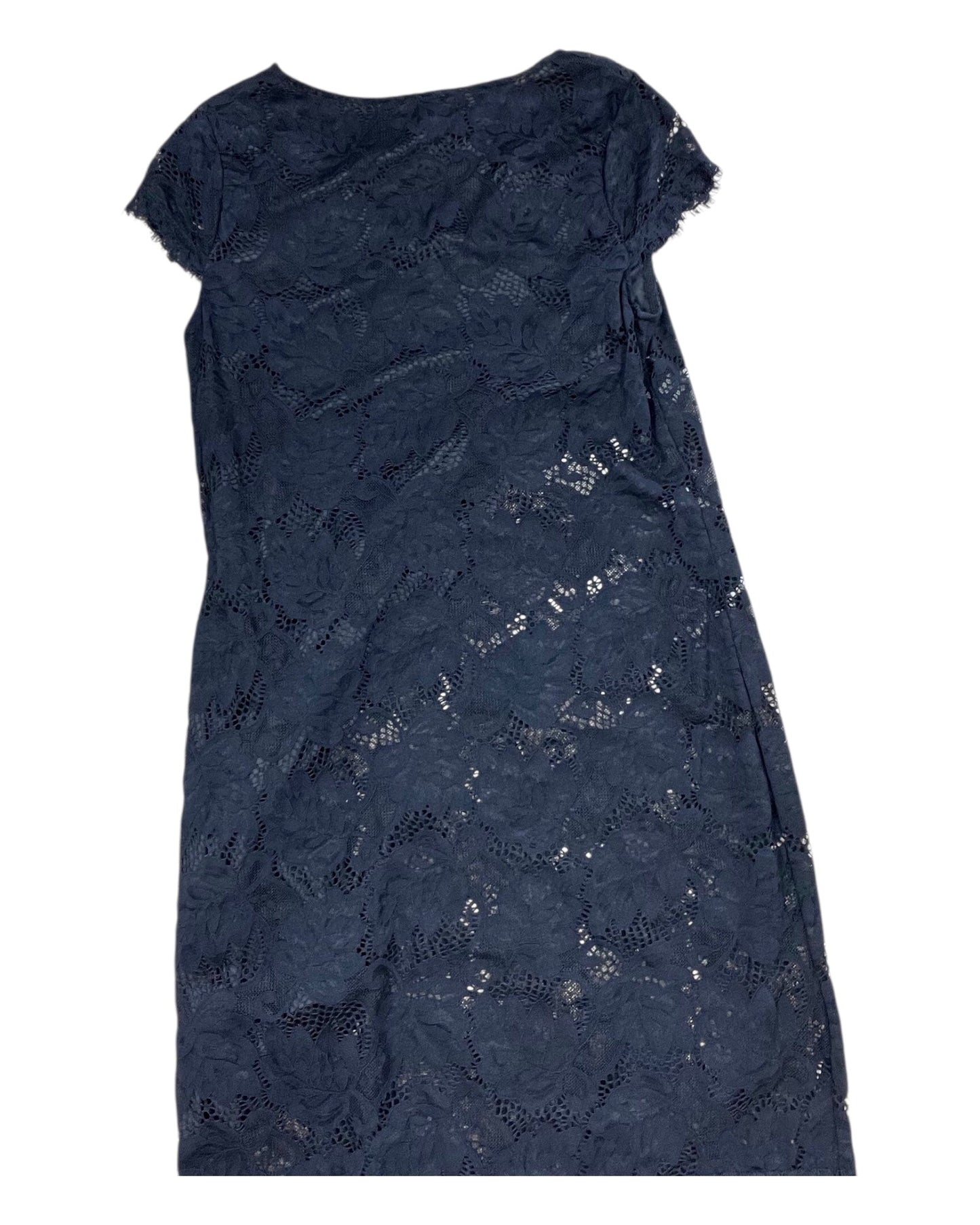 Dress Work By Daisy Fuentes In Black, Size:S