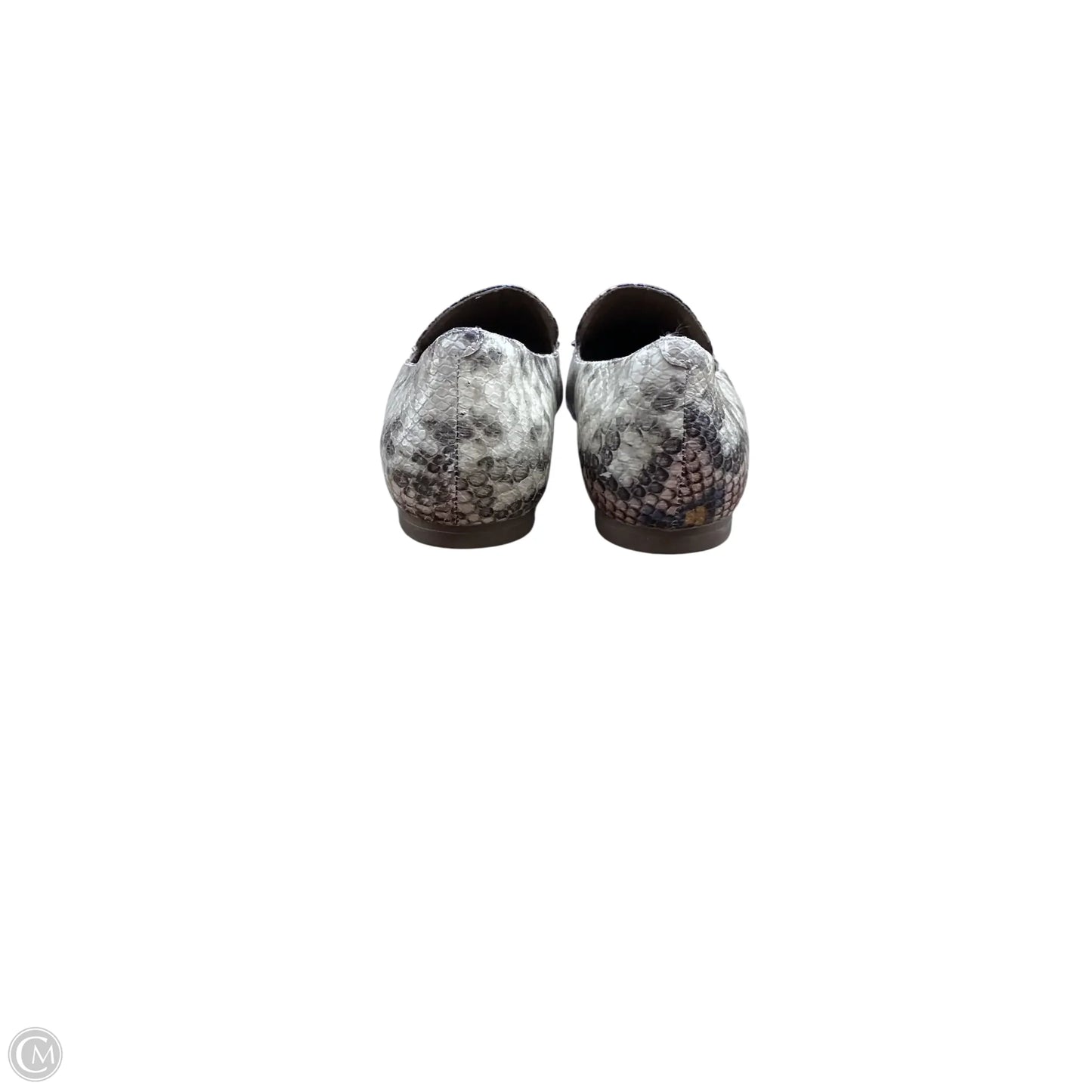 Shoes Flats By Blondo In Snakeskin Print, Size: 7