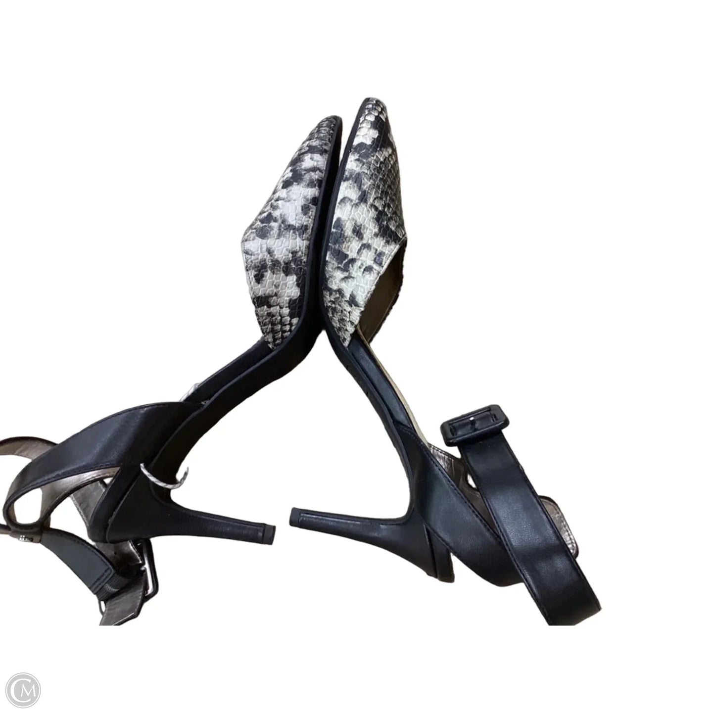 Shoes Heels Stiletto By Circus By Sam Edelman In Snakeskin Print, Size: 10