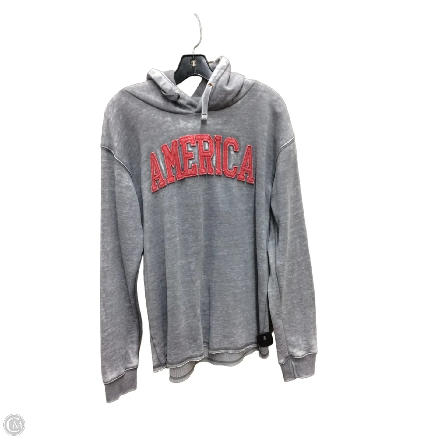 Sweatshirt Hoodie By Texas True Threads In Grey & Red, Size: Xl