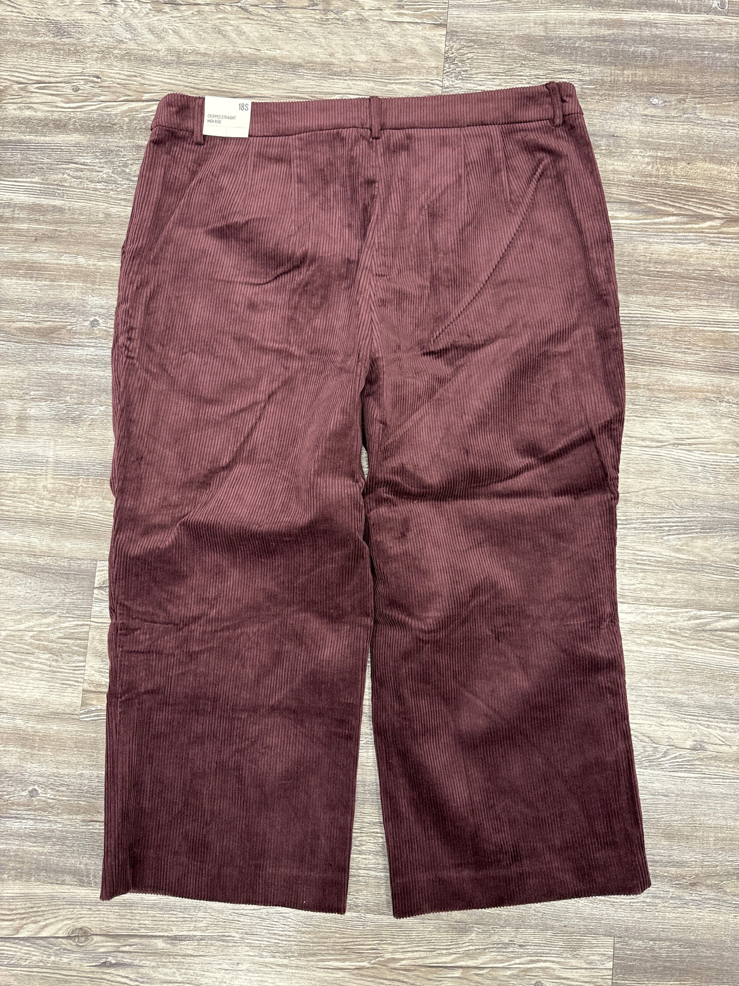 Pants Corduroy By Express In Purple, Size: 18