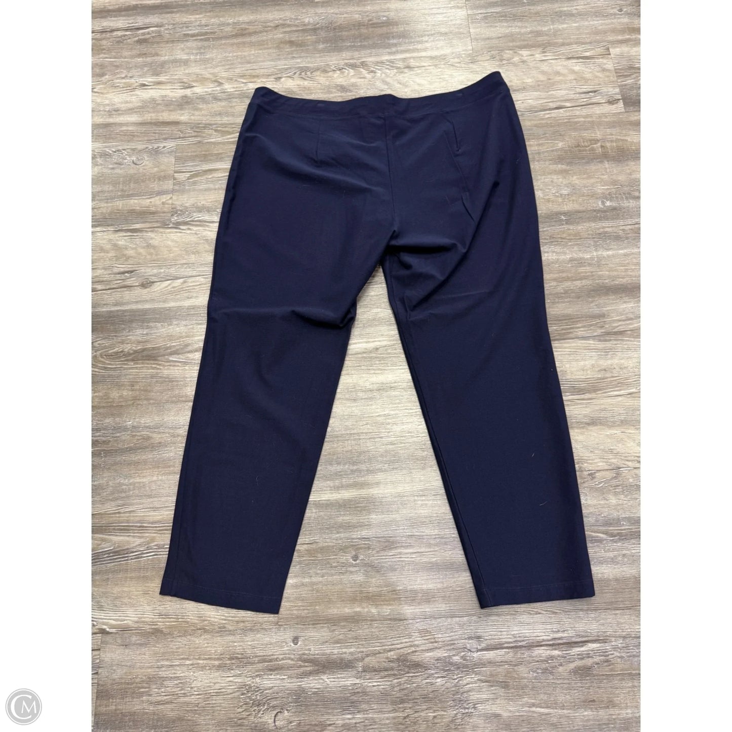 Pants Other By Eileen Fisher In Blue, Size: 2x