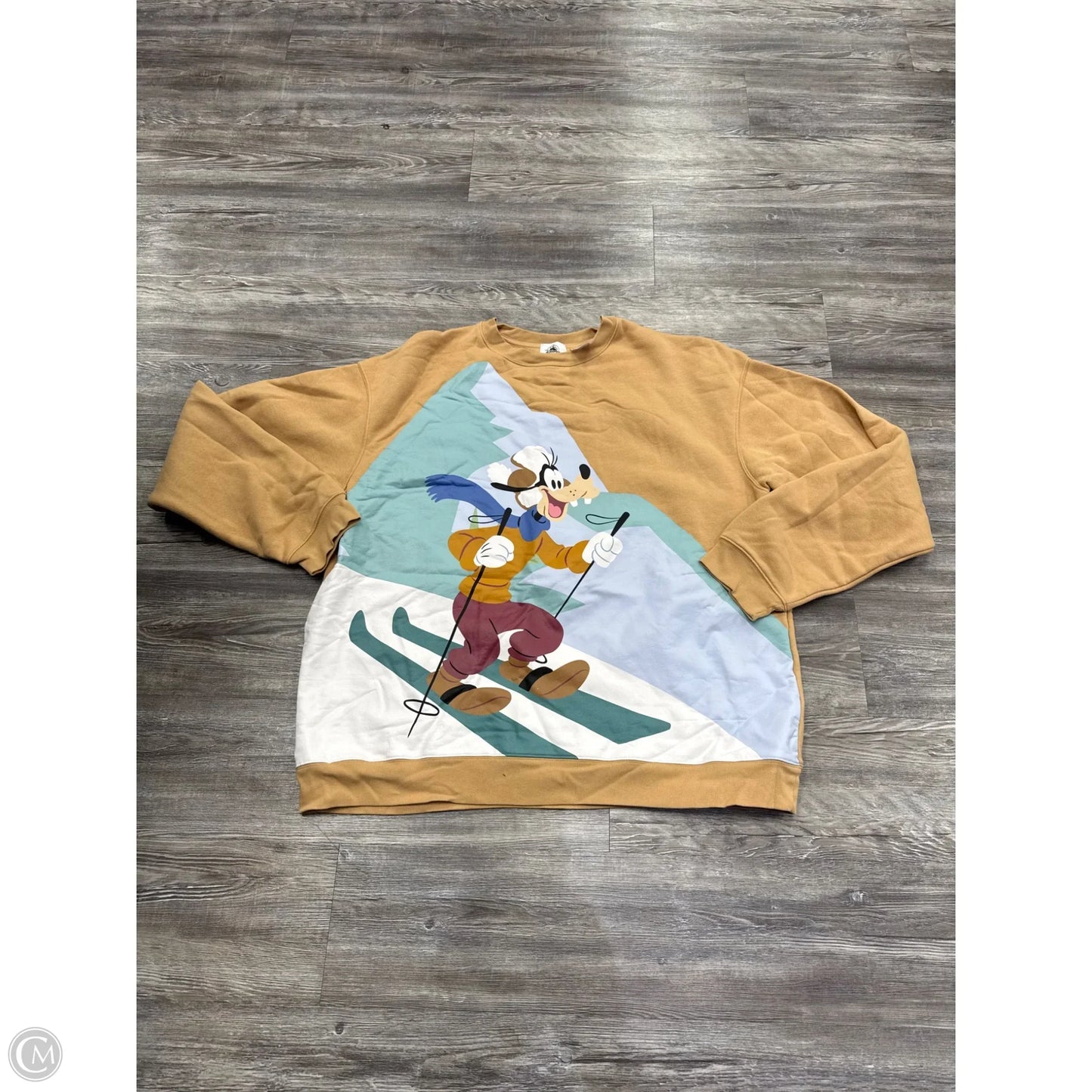 Sweatshirt Hoodie By Disney In Brown, Size: Xxl