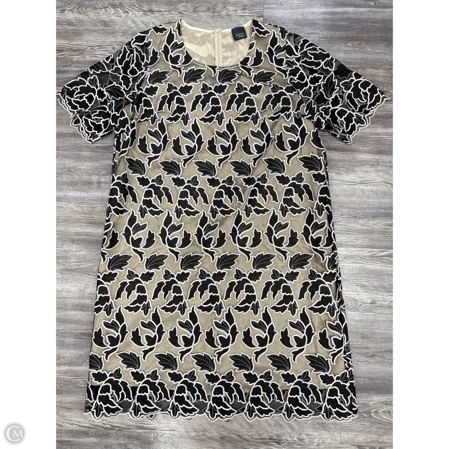 Dress Party Short By Cma In Black & Cream, Size: 16