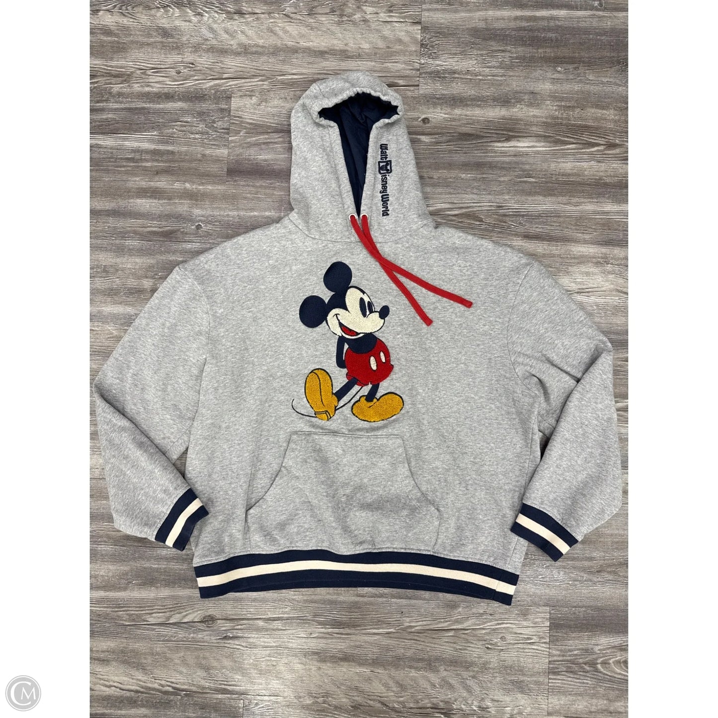 Sweatshirt Hoodie By Disney In Grey, Size: L