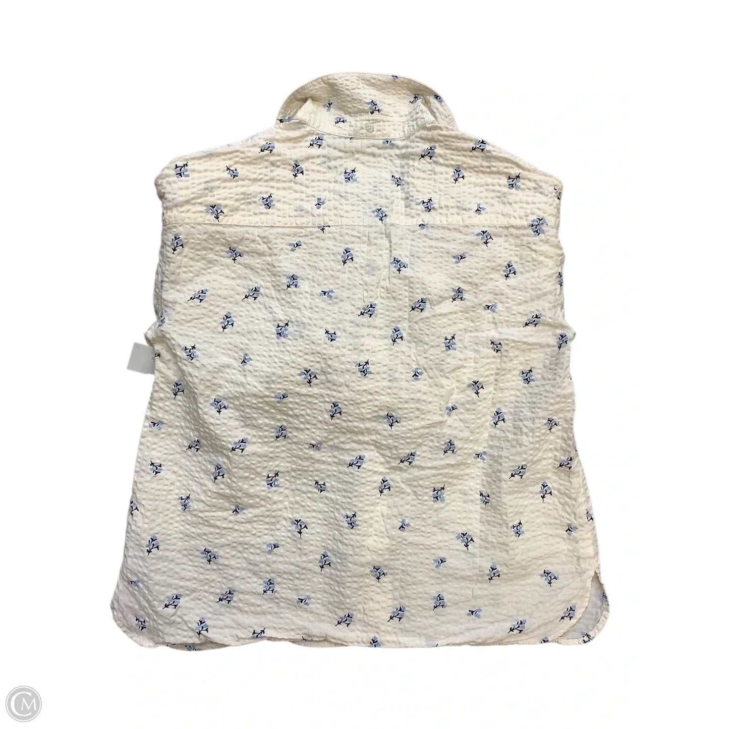 Top 3/4 Sleeve By Clothes Mentor In Cream, Size: L