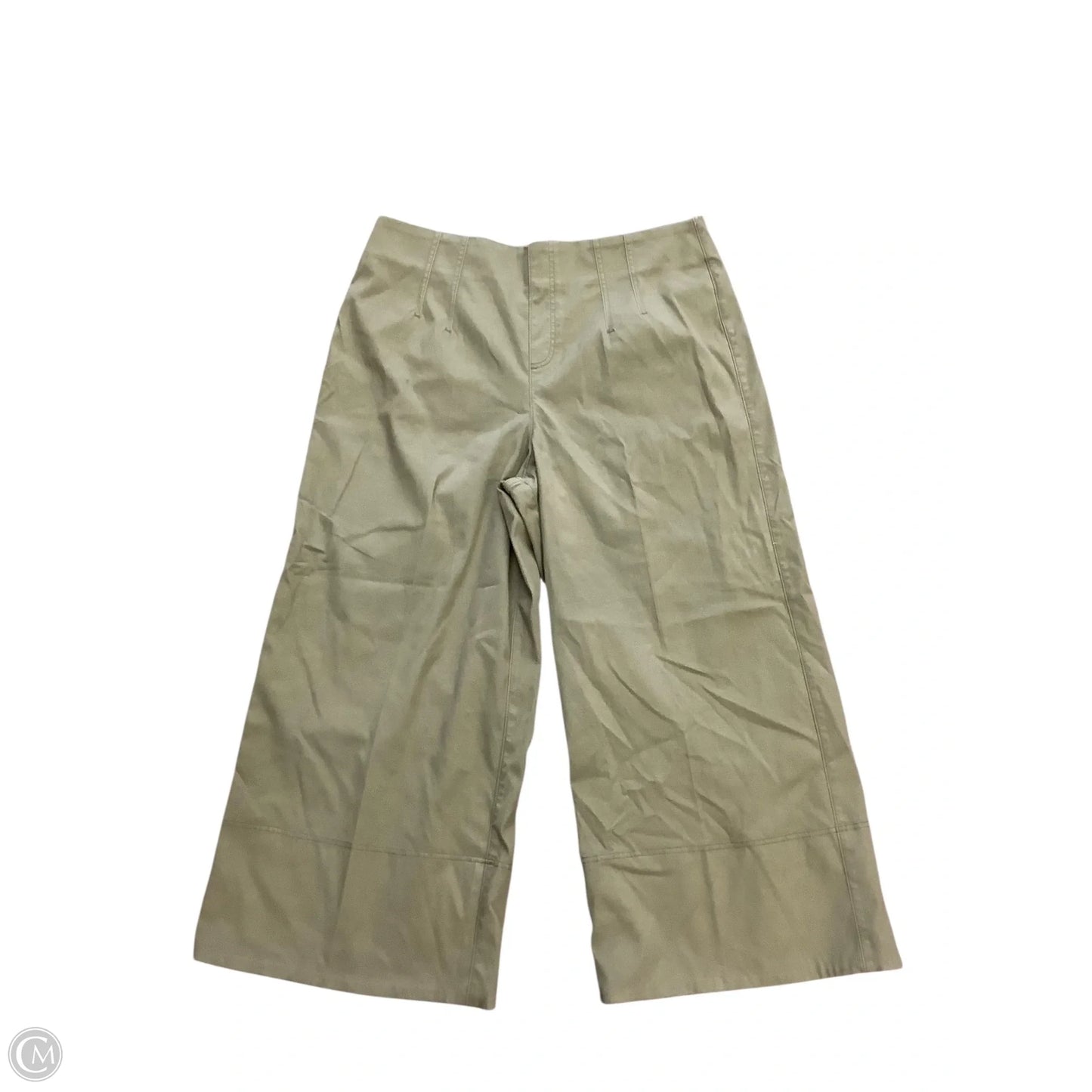 Pants Other By Spanx In Green, Size: 2x