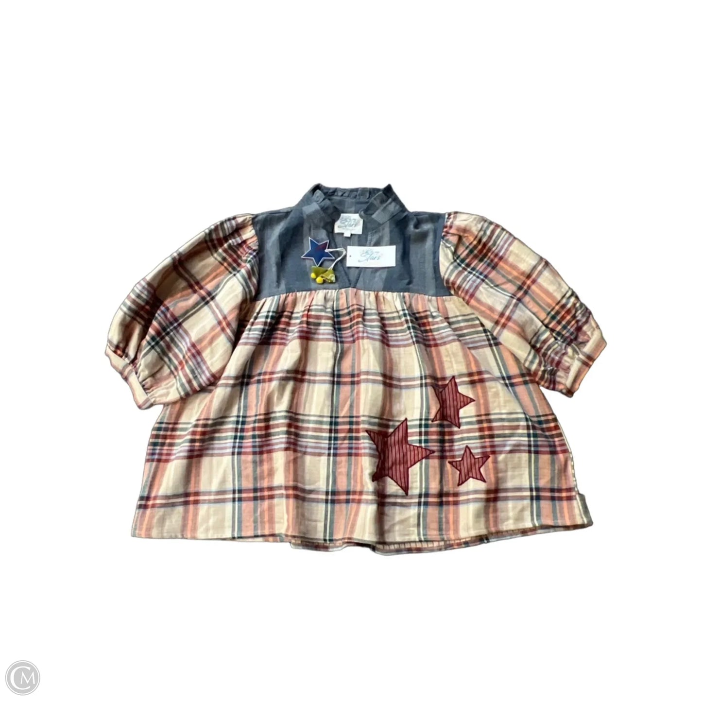 Top Long Sleeve By Clothes Mentor In Plaid Pattern, Size: L