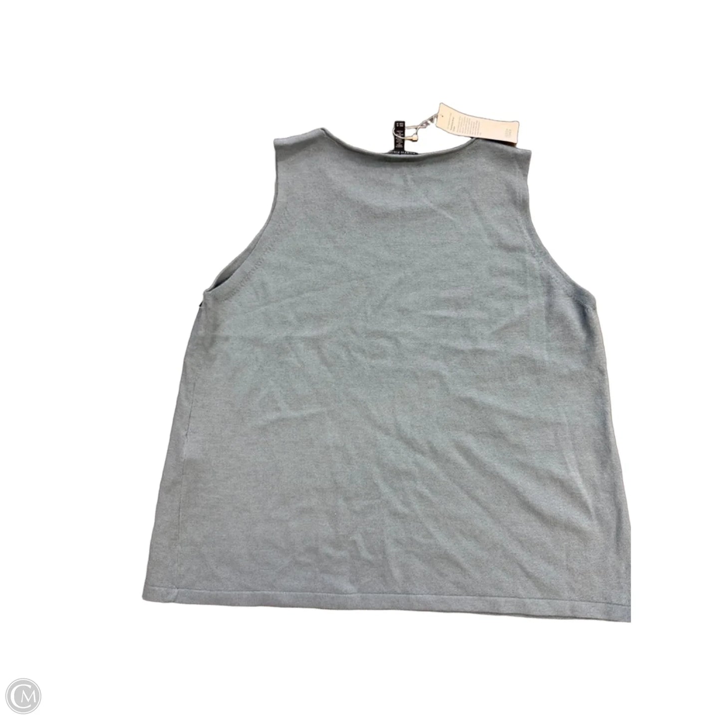 Sweater 2pc By Eileen Fisher In Blue, Size: M