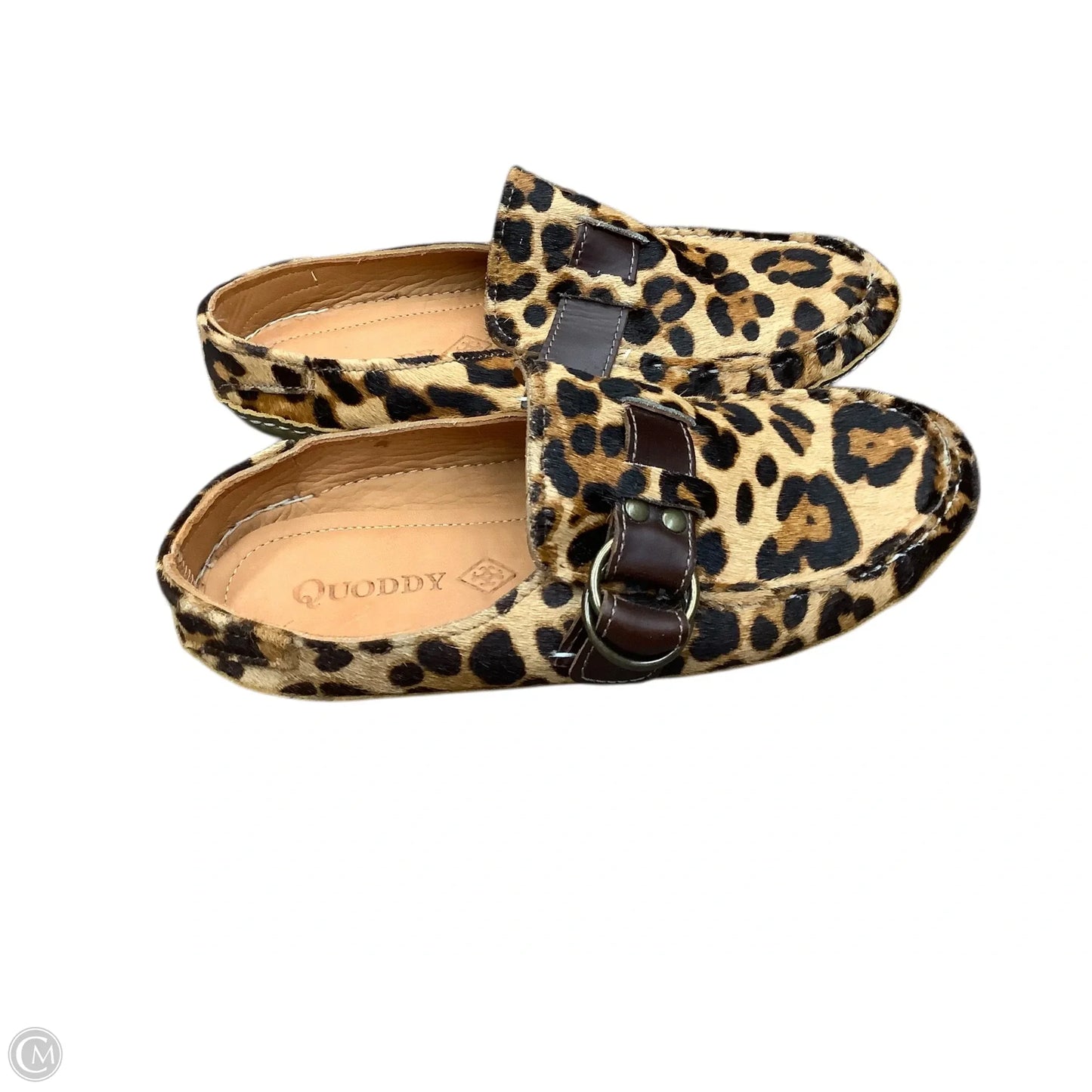 Shoes Flats By Cma In Animal Print, Size: 7