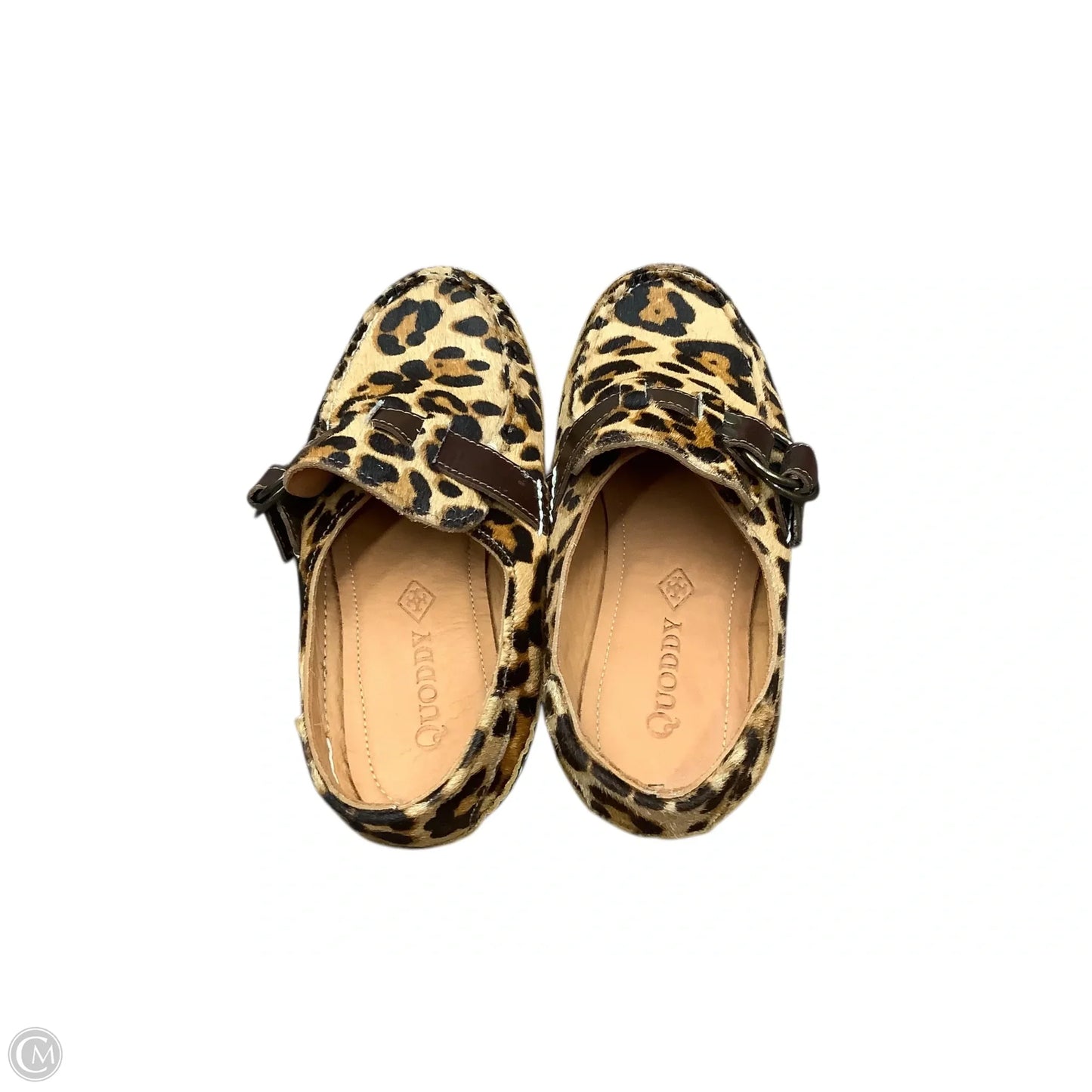 Shoes Flats By Cma In Animal Print, Size: 7