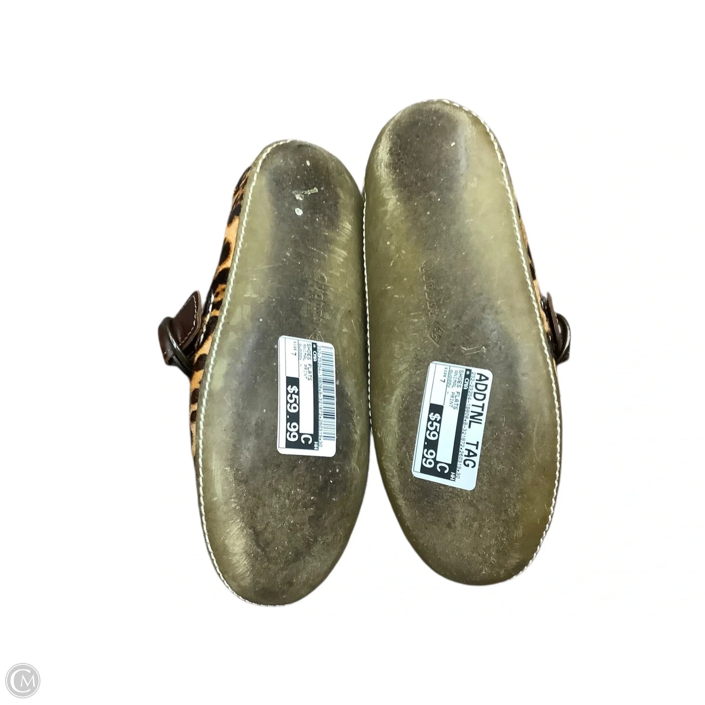 Shoes Flats By Cma In Animal Print, Size: 7