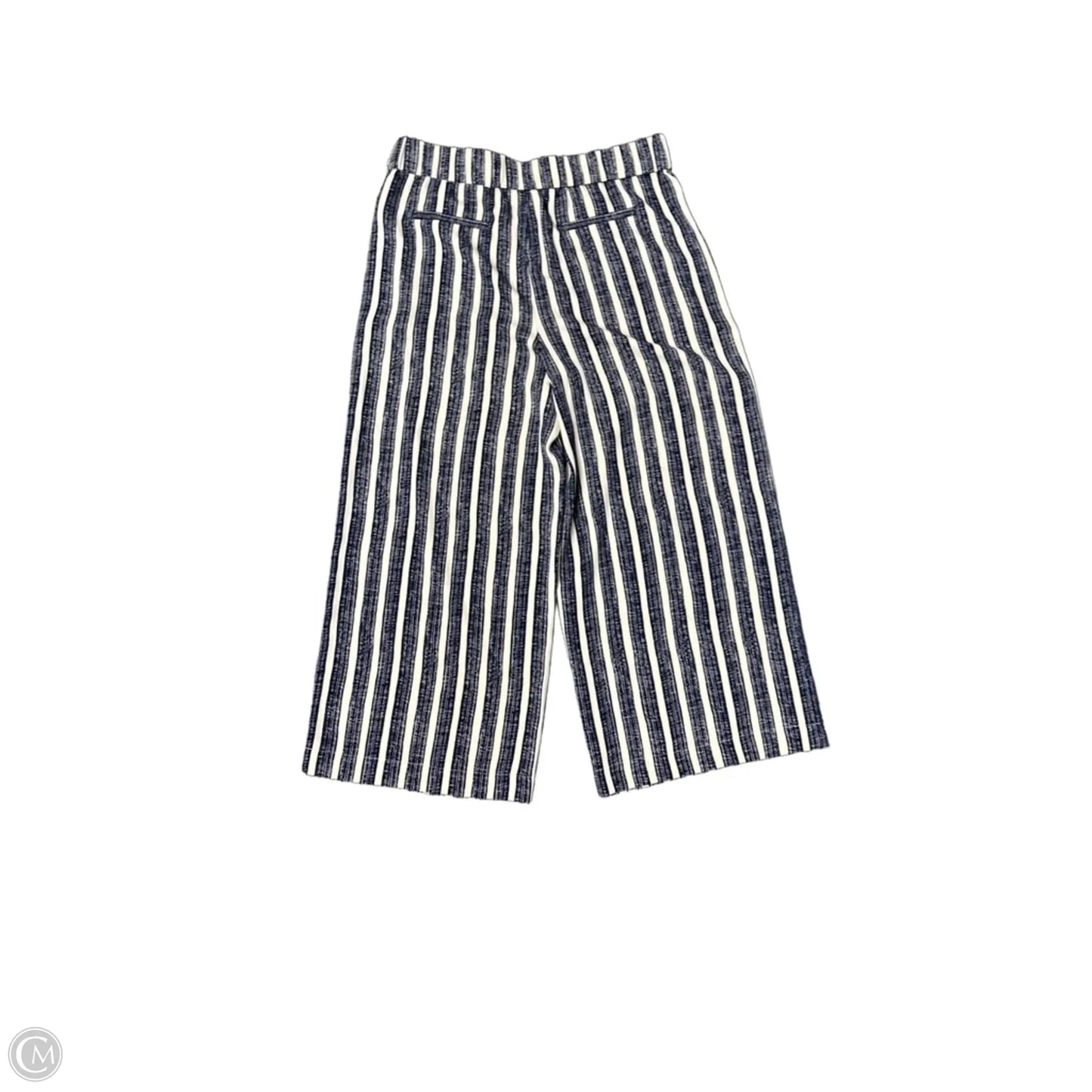 Pants Other By Lysse In Navy, Size: L