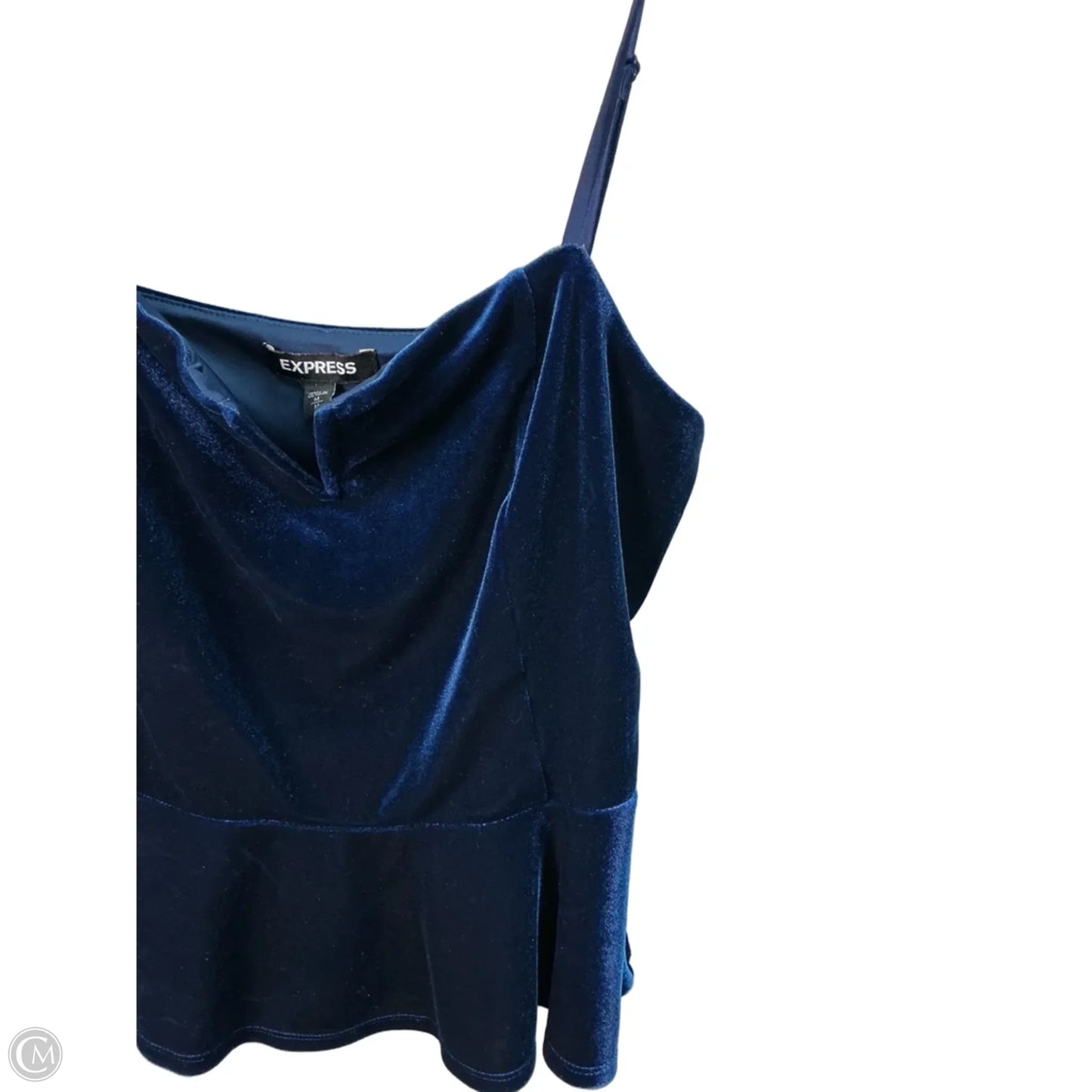 Top Sleeveless By Express In Blue, Size: M