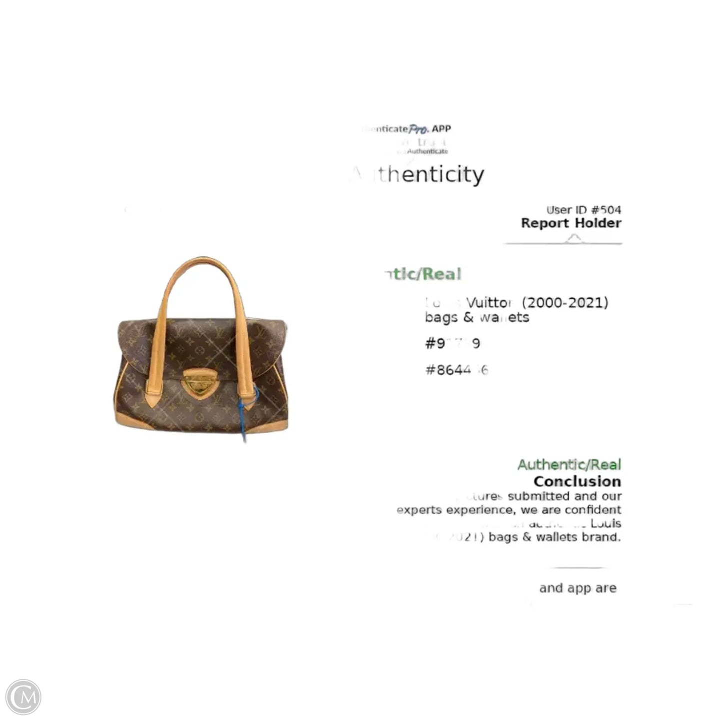 Handbag Luxury Designer By Louis Vuitton, Size: Medium