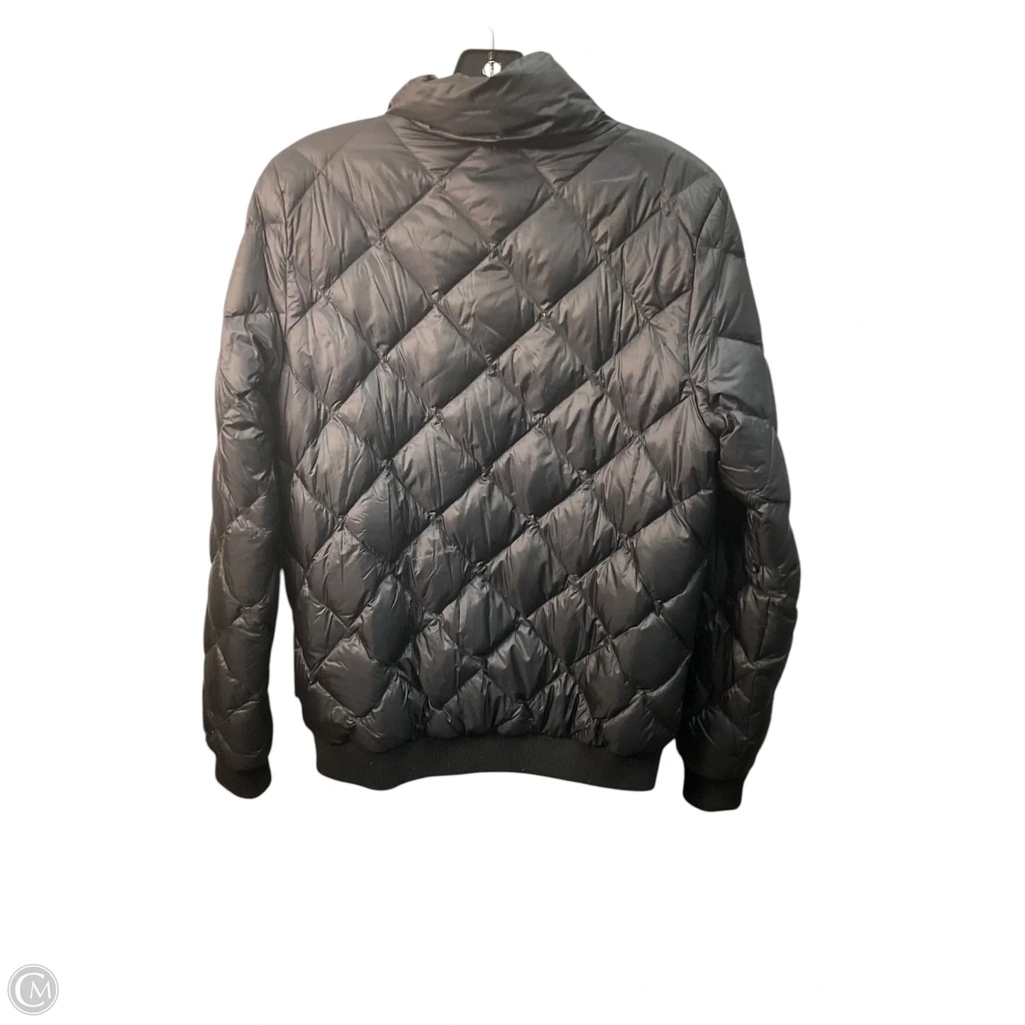 Jacket Puffer & Quilted By Patagonia In Black, Size: M