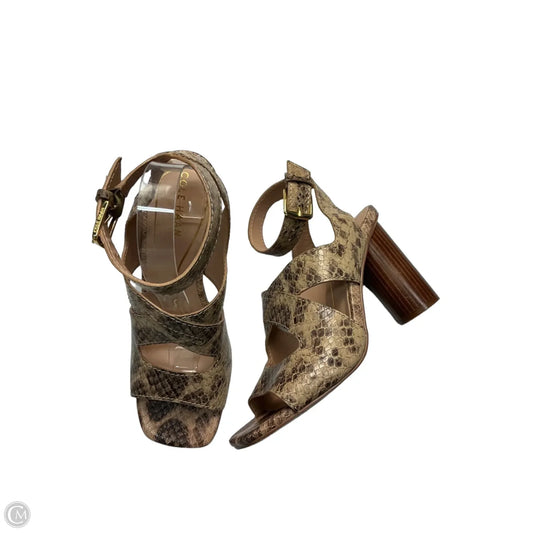 Shoes Heels Block By Cole-haan In Snakeskin Print, Size: 8