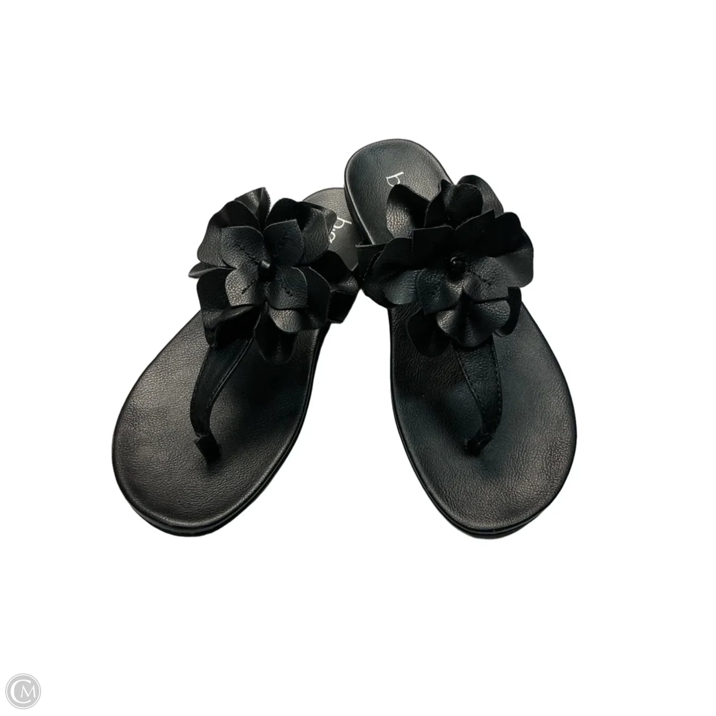 Sandals Flip Flops By Boc In Black, Size: 6