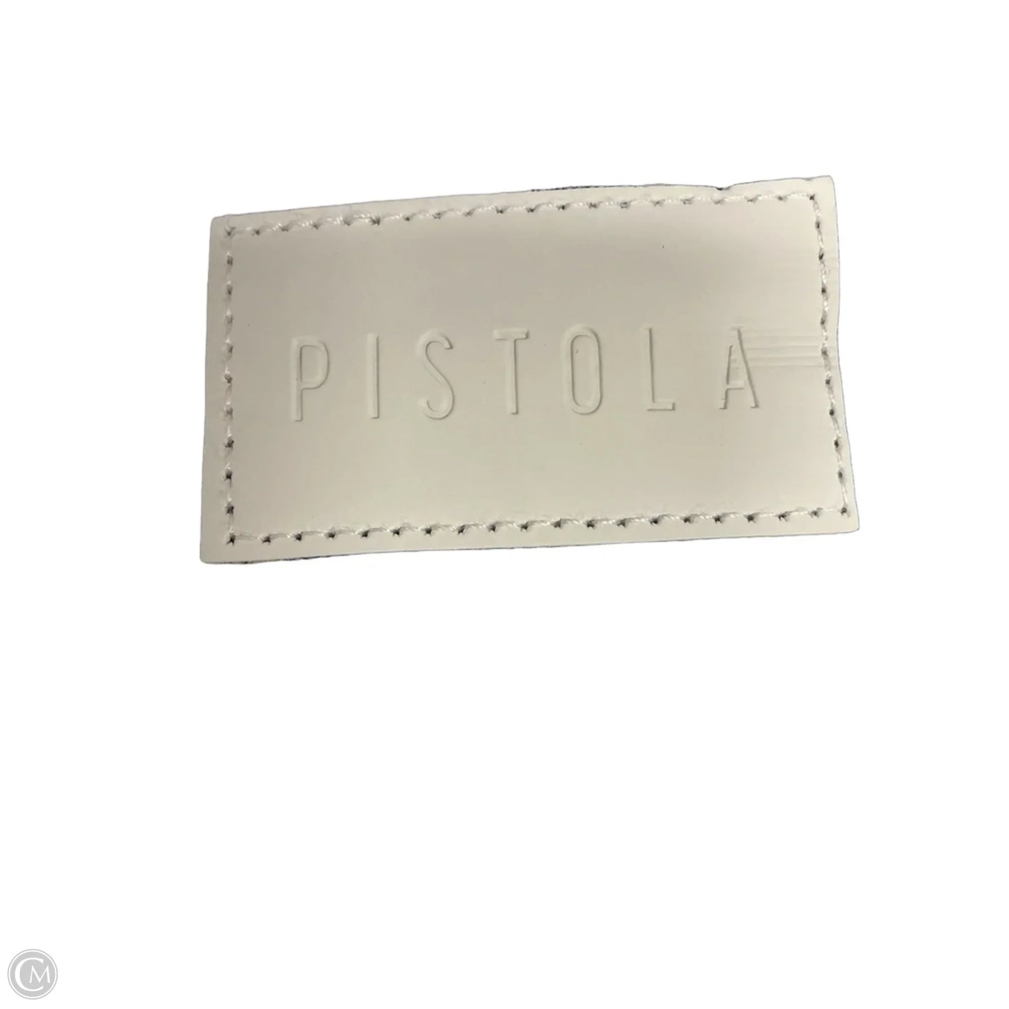 Skirt Maxi By Pistola In Blue Denim, Size: 2