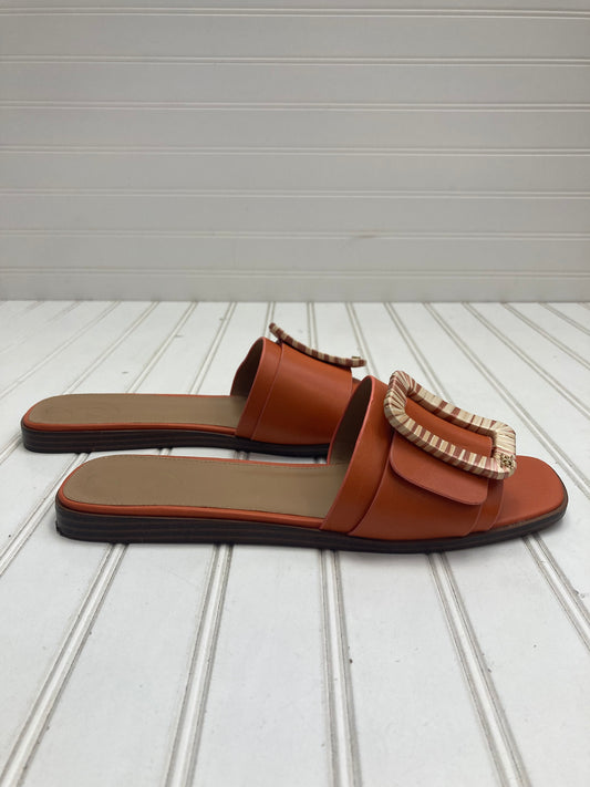 Sandals Designer By Sam Edelman  Size: 9.5