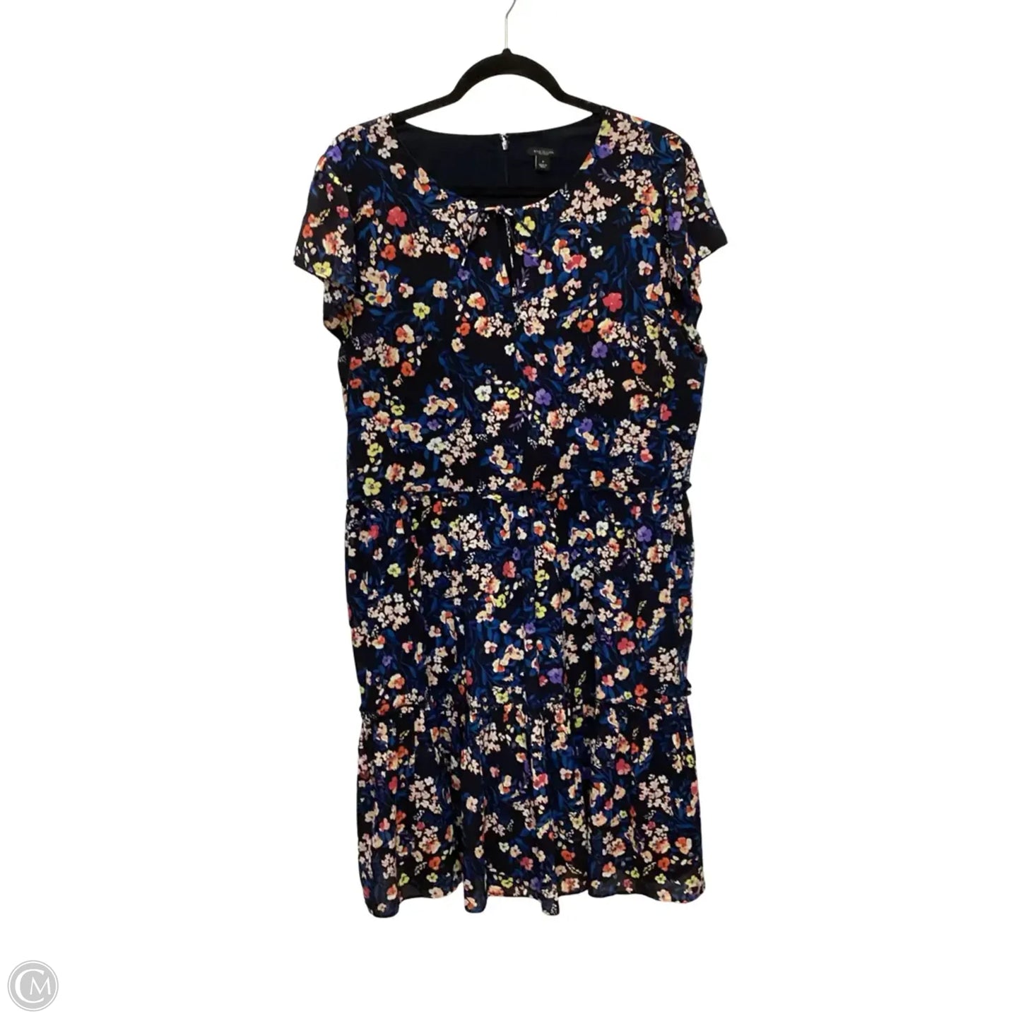 Dress Casual Short By Ann Taylor In Floral Print, Size: 16