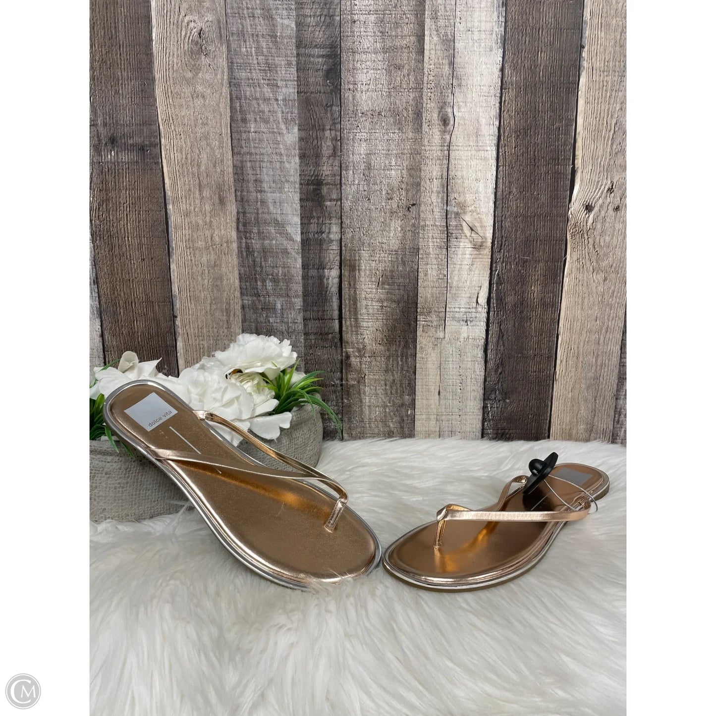 Sandals Flip Flops By Dolce Vita In Gold, Size: 9.5