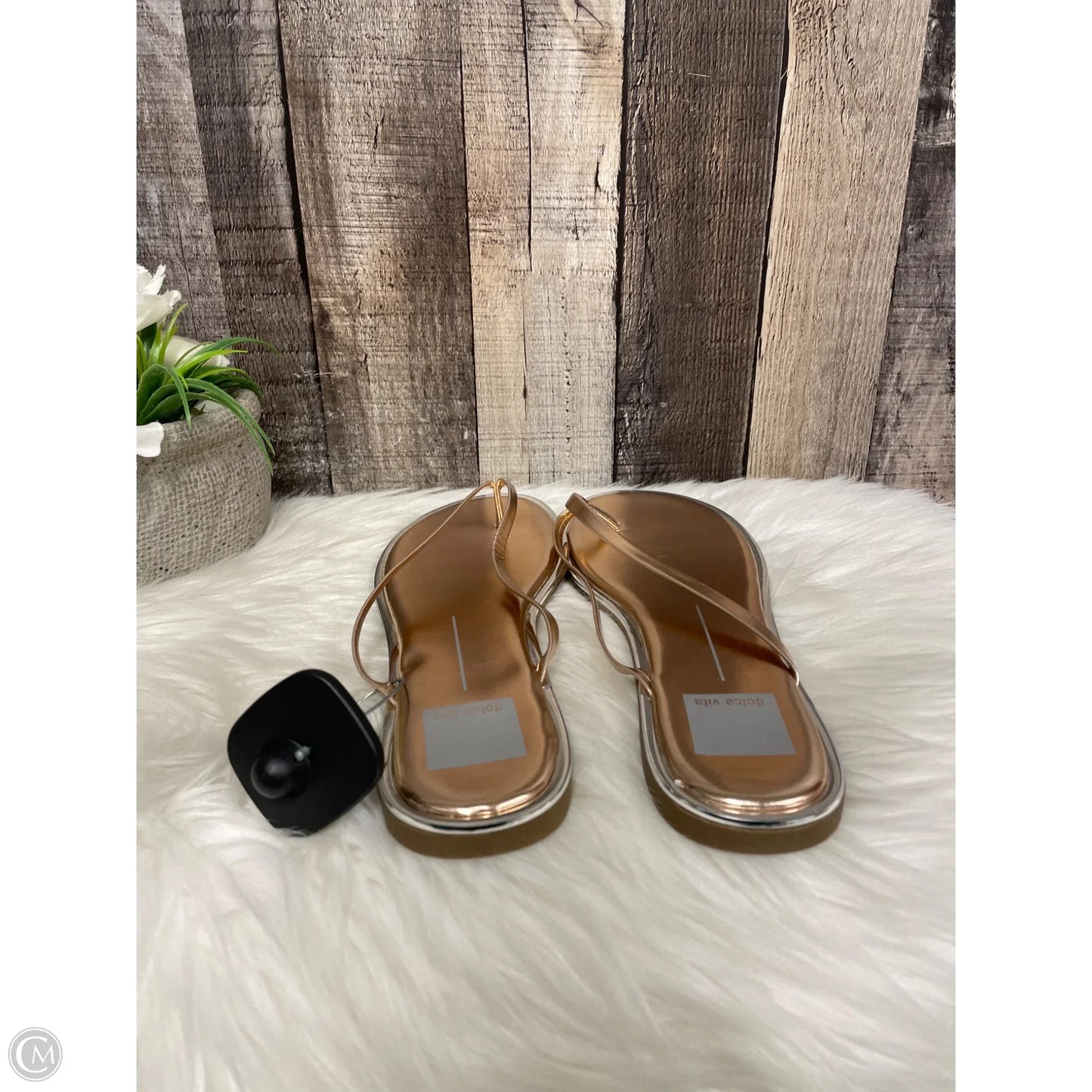Sandals Flip Flops By Dolce Vita In Gold, Size: 9.5