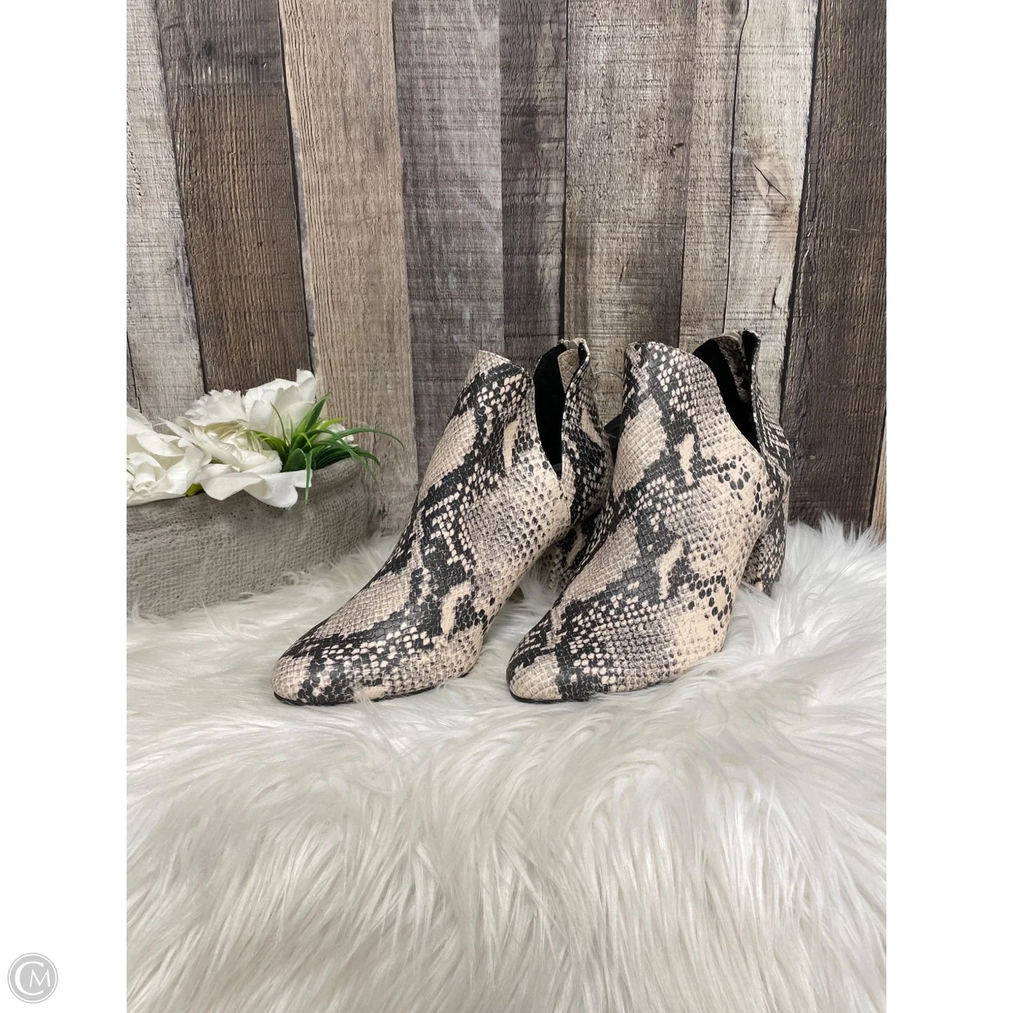 Shoes Heels Block By Massini In Animal Print, Size: 7