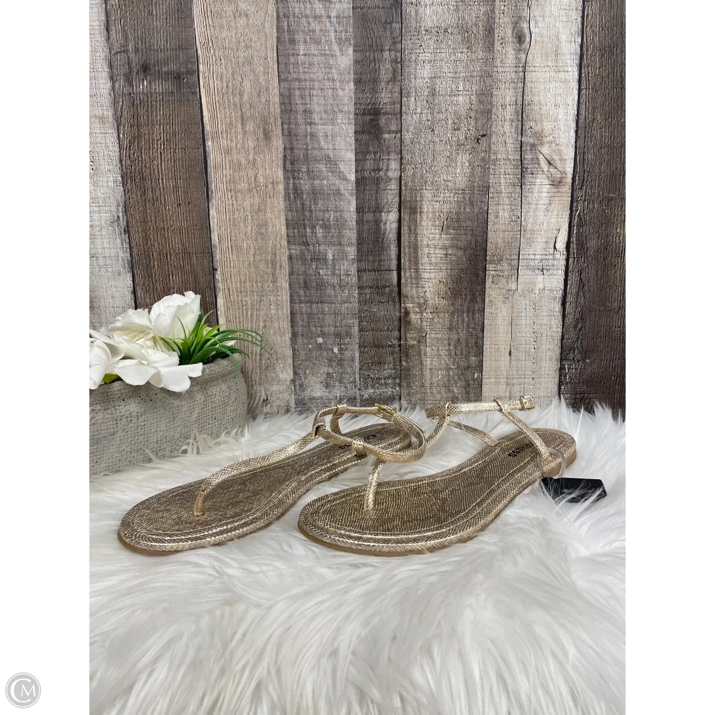Sandals Flats By Express In Gold, Size: 7
