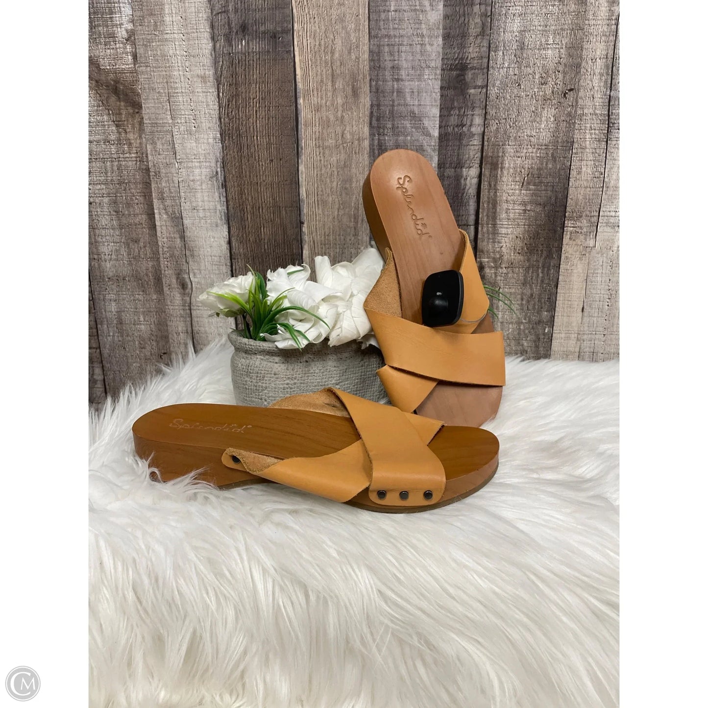 Sandals Flats By Splendid In Brown, Size: 10
